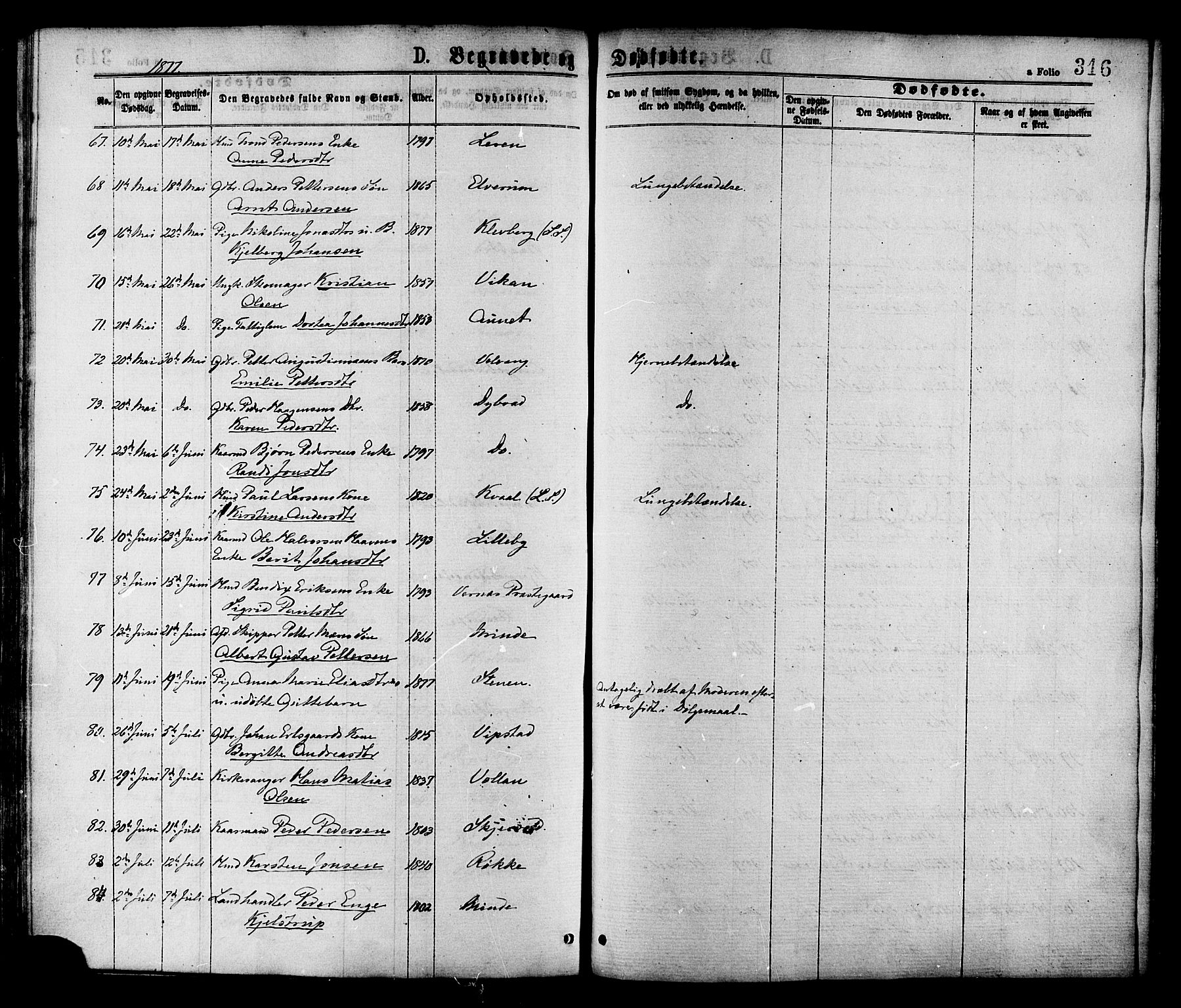 Ministerialprotokoller, klokkerbøker og fødselsregistre - Nord-Trøndelag, AV/SAT-A-1458/709/L0076: Parish register (official) no. 709A16, 1871-1879, p. 316