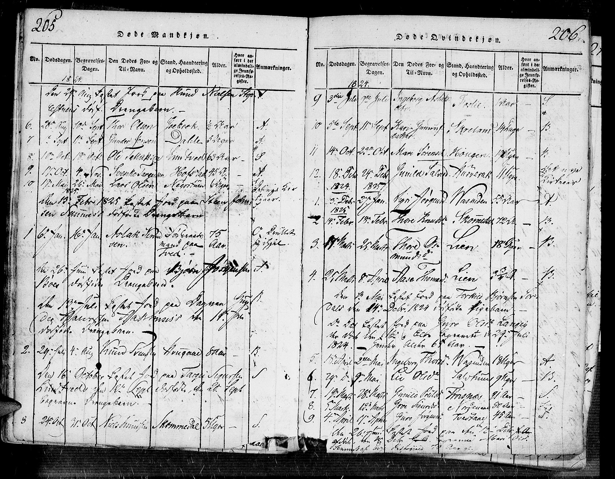 Bygland sokneprestkontor, AV/SAK-1111-0006/F/Fa/Fab/L0003: Parish register (official) no. A 3, 1816-1841, p. 205-206