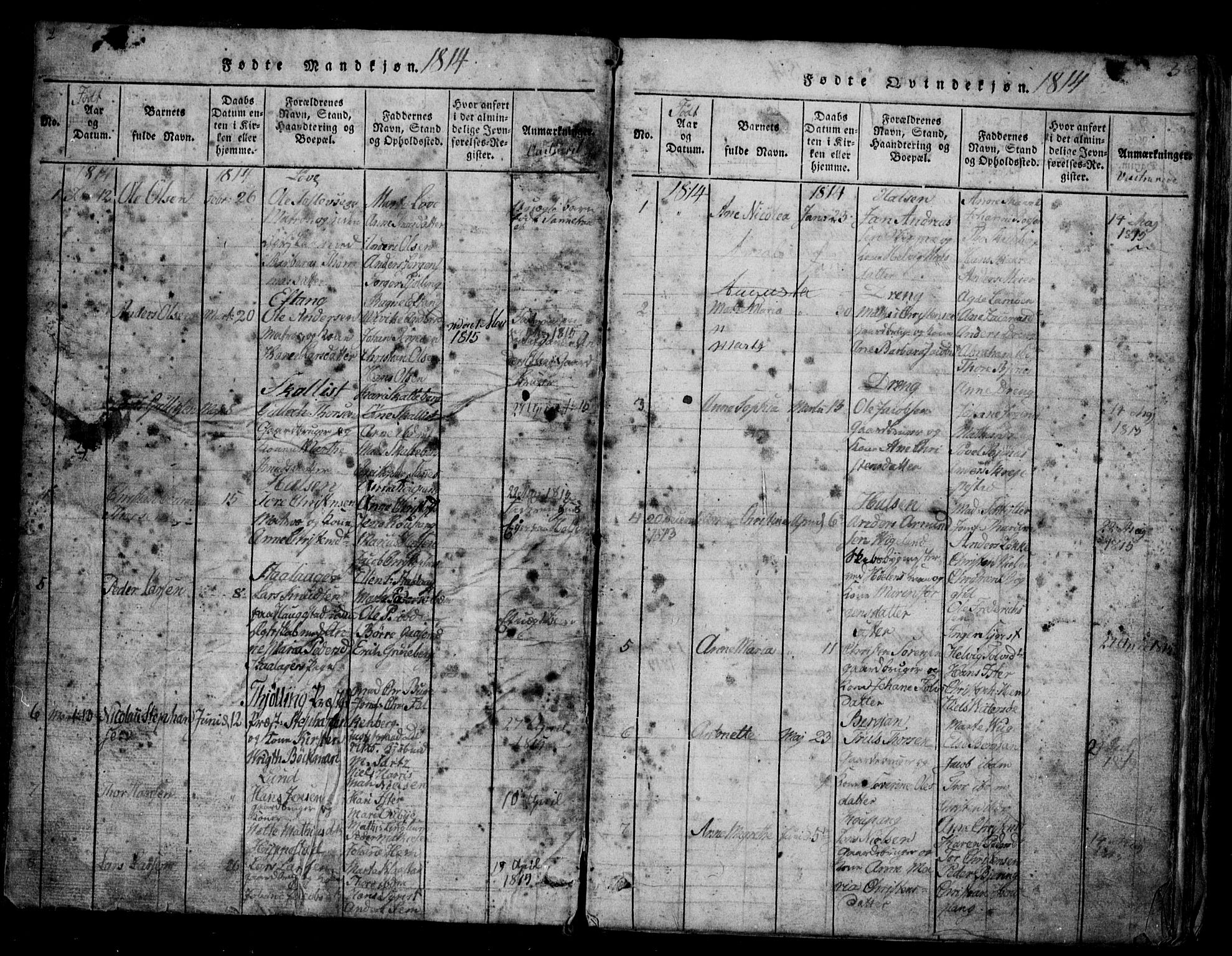 Tjølling kirkebøker, AV/SAKO-A-60/G/Ga/L0001: Parish register (copy) no. 1, 1814-1835, p. 2-3