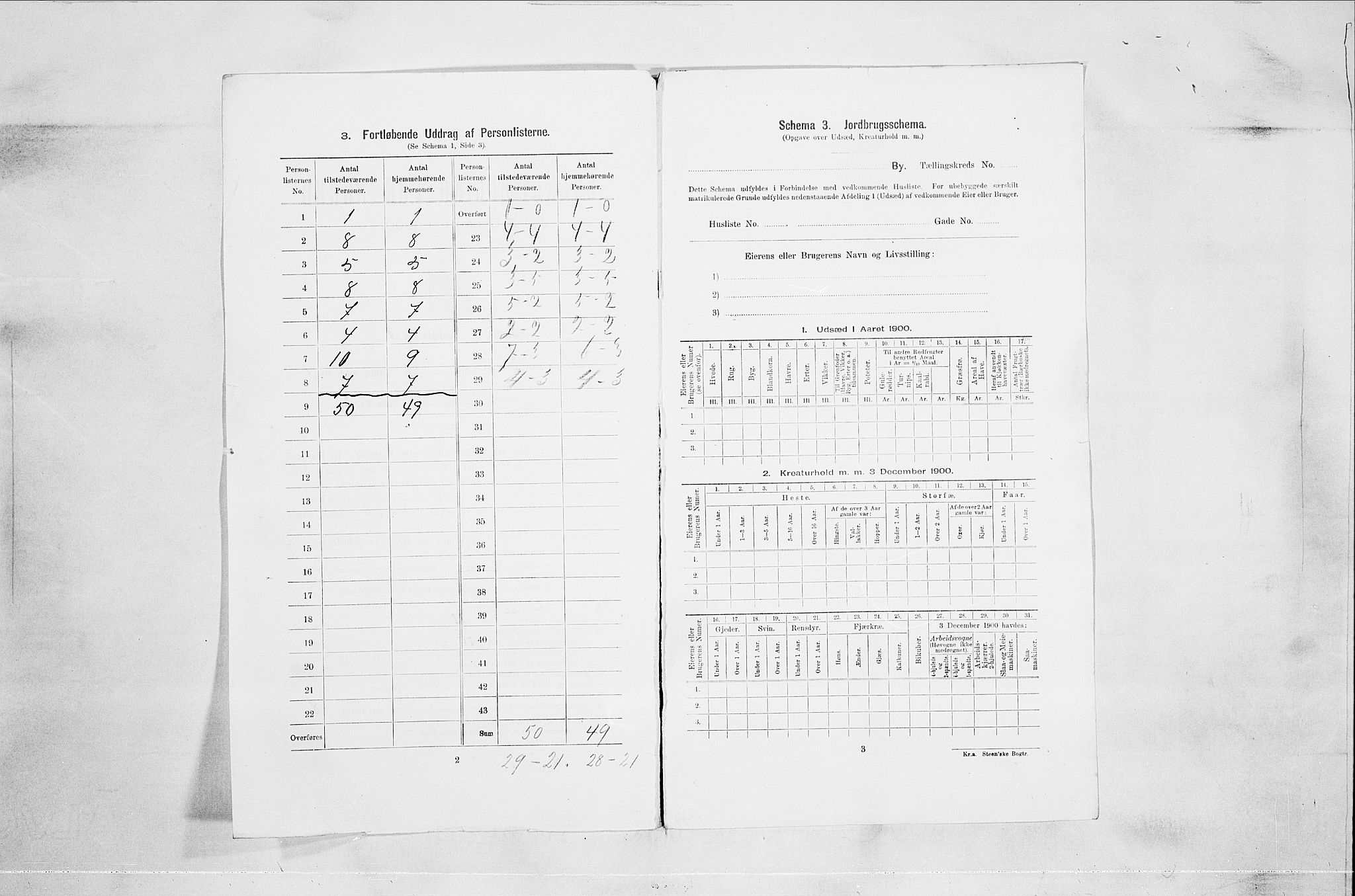 RA, 1900 census for Drammen, 1900, p. 591