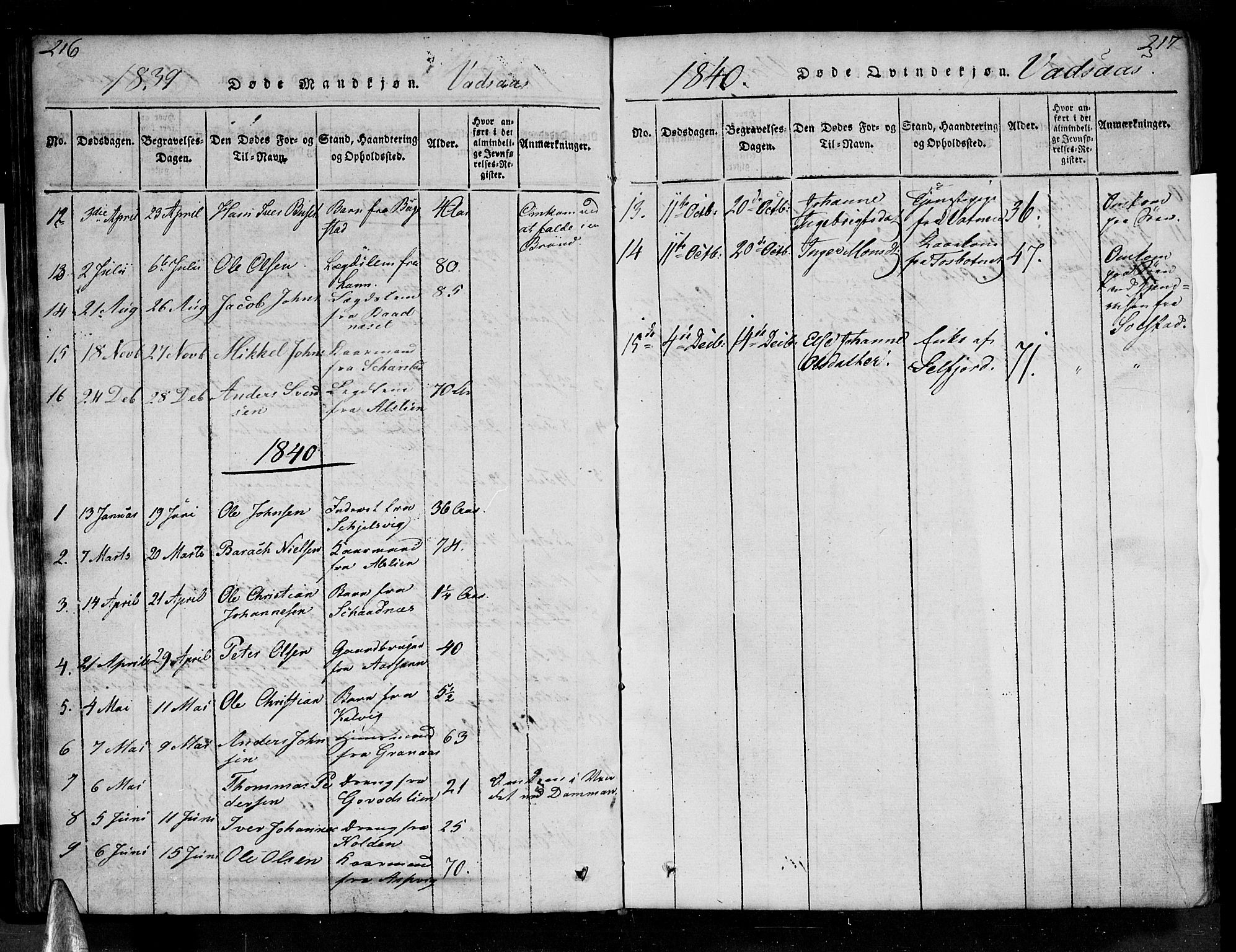 Ministerialprotokoller, klokkerbøker og fødselsregistre - Nordland, AV/SAT-A-1459/810/L0142: Parish register (official) no. 810A06 /1, 1819-1841, p. 216-217