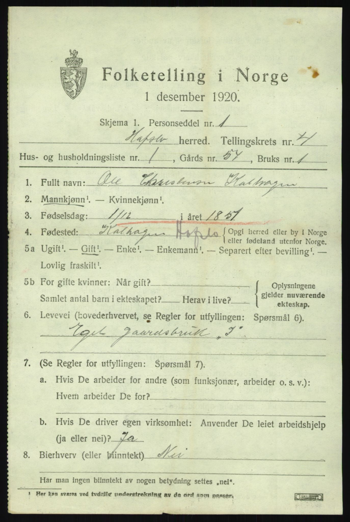 SAB, 1920 census for Hafslo, 1920, p. 2626