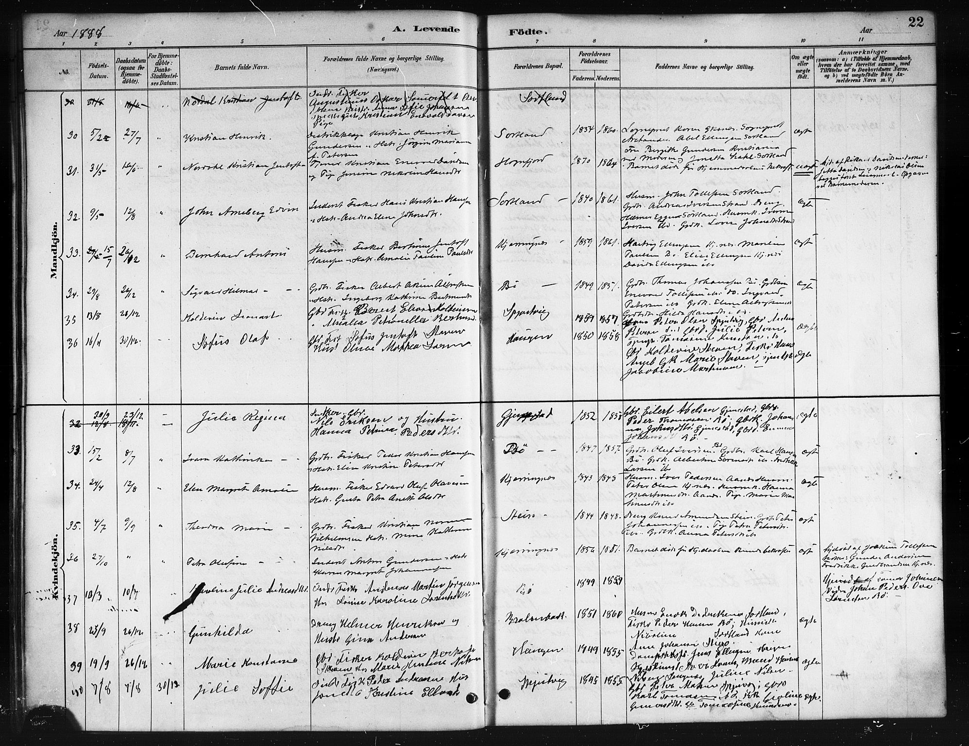 Ministerialprotokoller, klokkerbøker og fødselsregistre - Nordland, SAT/A-1459/895/L1382: Parish register (copy) no. 895C04, 1885-1896, p. 22