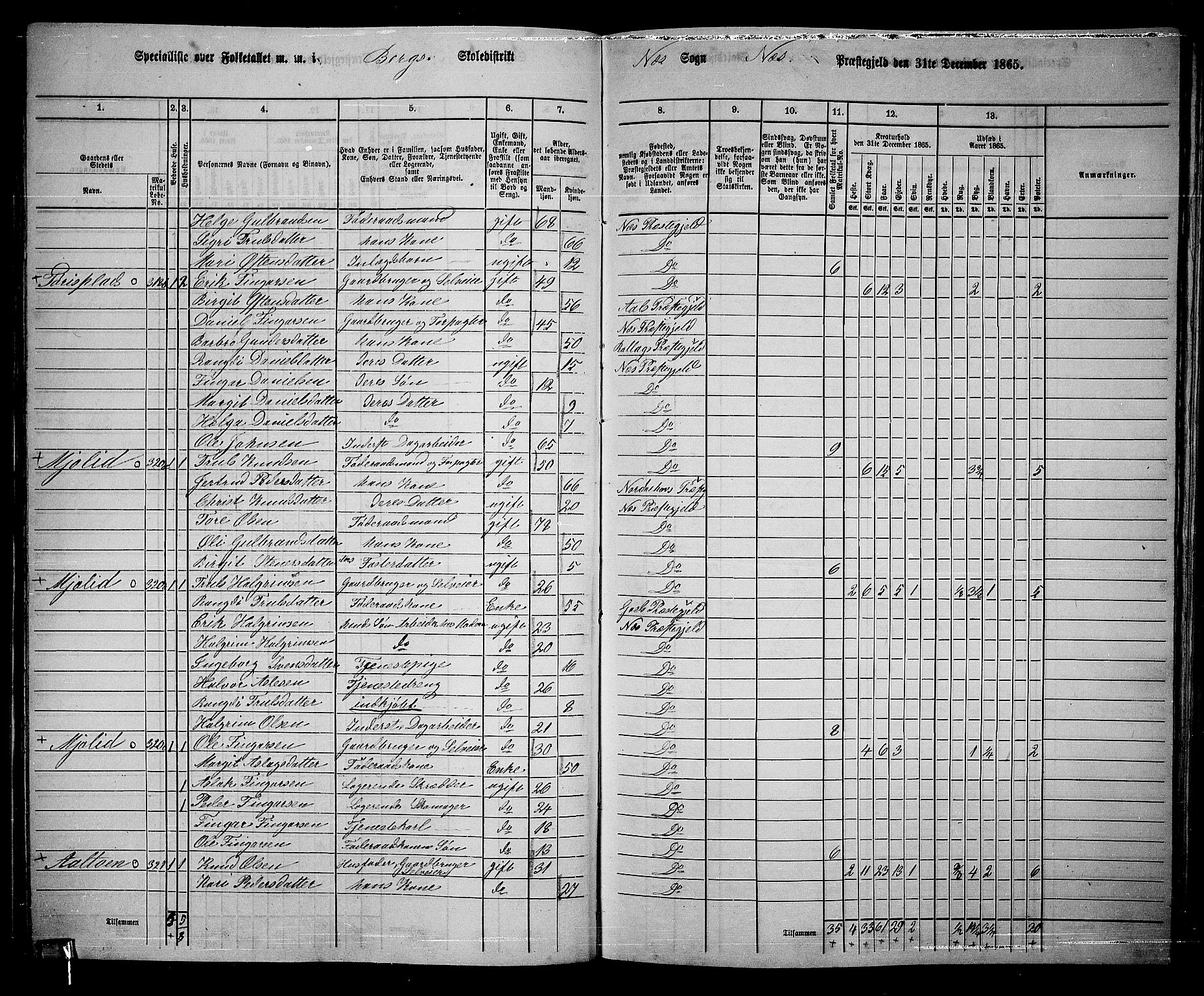 RA, 1865 census for Nes, 1865, p. 96