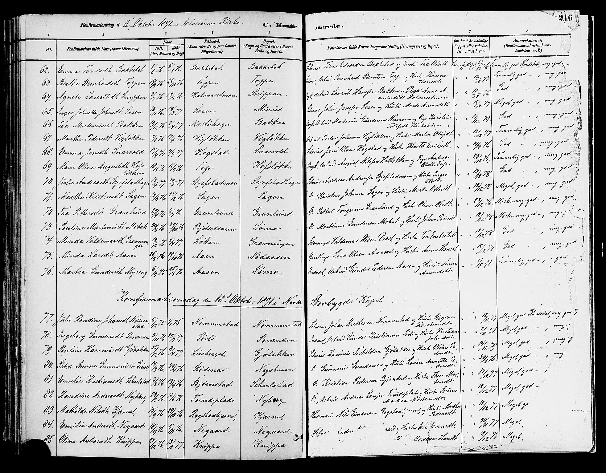 Elverum prestekontor, AV/SAH-PREST-044/H/Ha/Haa/L0013: Parish register (official) no. 13, 1880-1890, p. 216