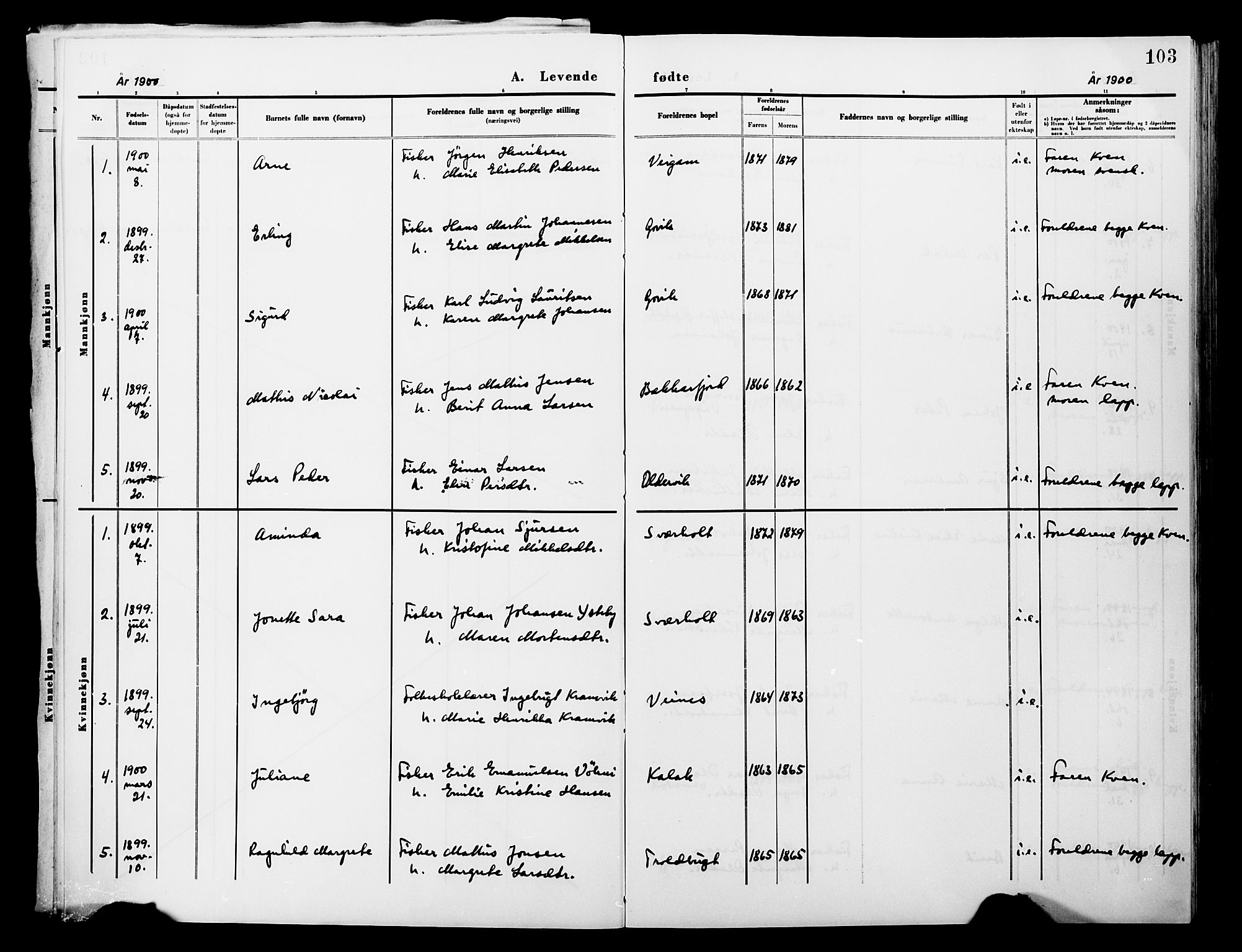 Lebesby sokneprestkontor, SATØ/S-1353/H/Ha/L0004kirke: Parish register (official) no. 4, 1870-1902, p. 103