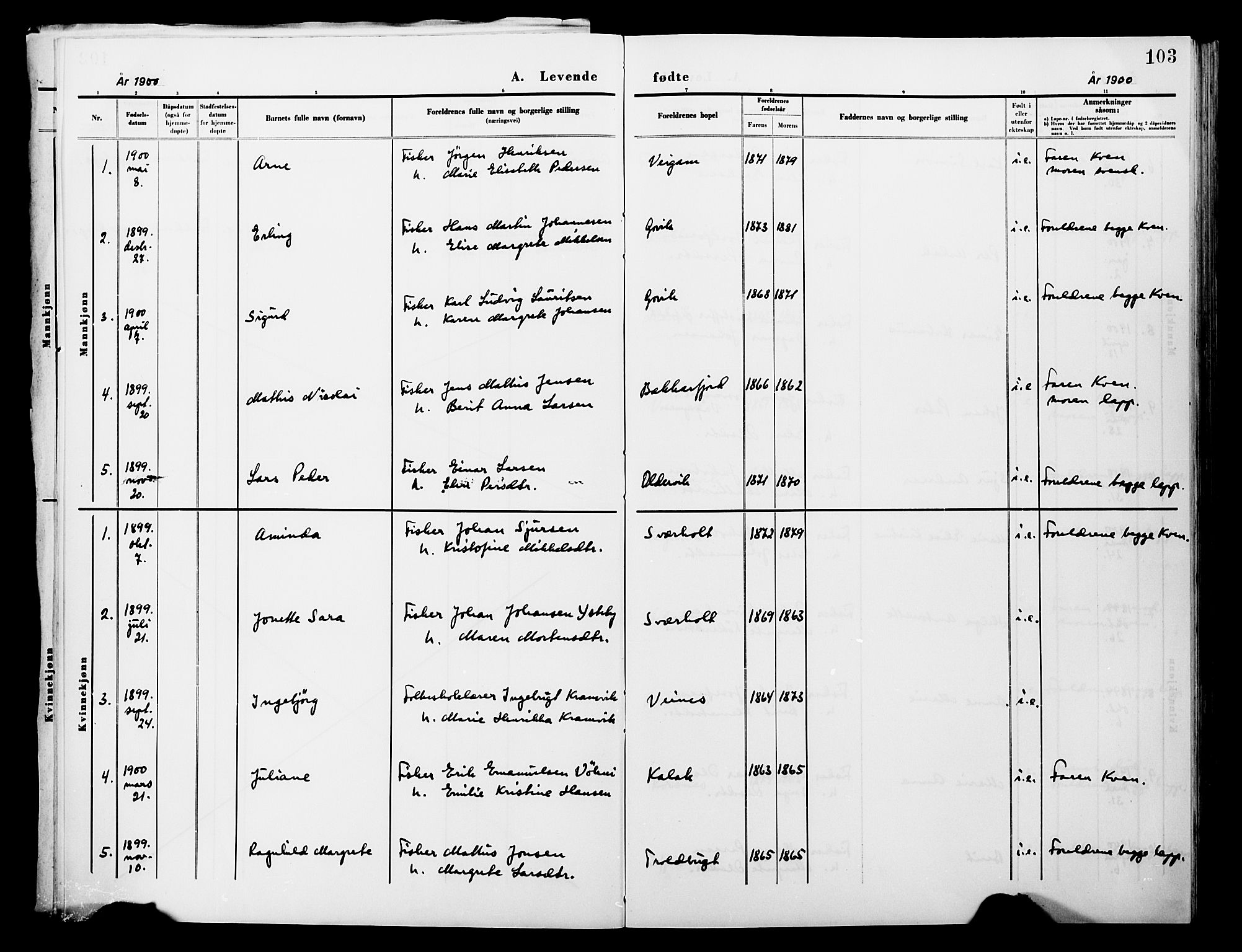 Lebesby sokneprestkontor, AV/SATØ-S-1353/H/Ha/L0004kirke: Parish register (official) no. 4, 1870-1902, p. 103