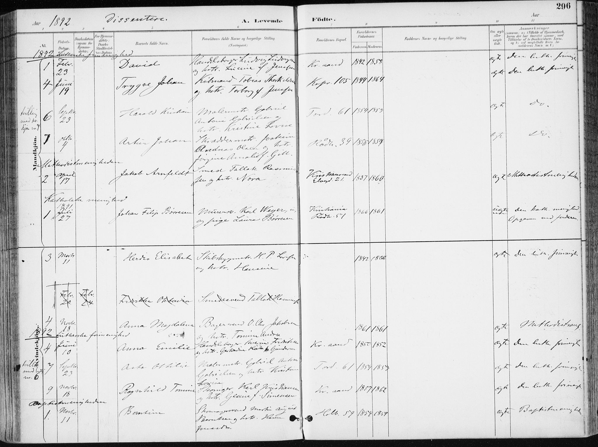 Kristiansand domprosti, AV/SAK-1112-0006/F/Fa/L0019: Parish register (official) no. A 18, 1890-1897, p. 296