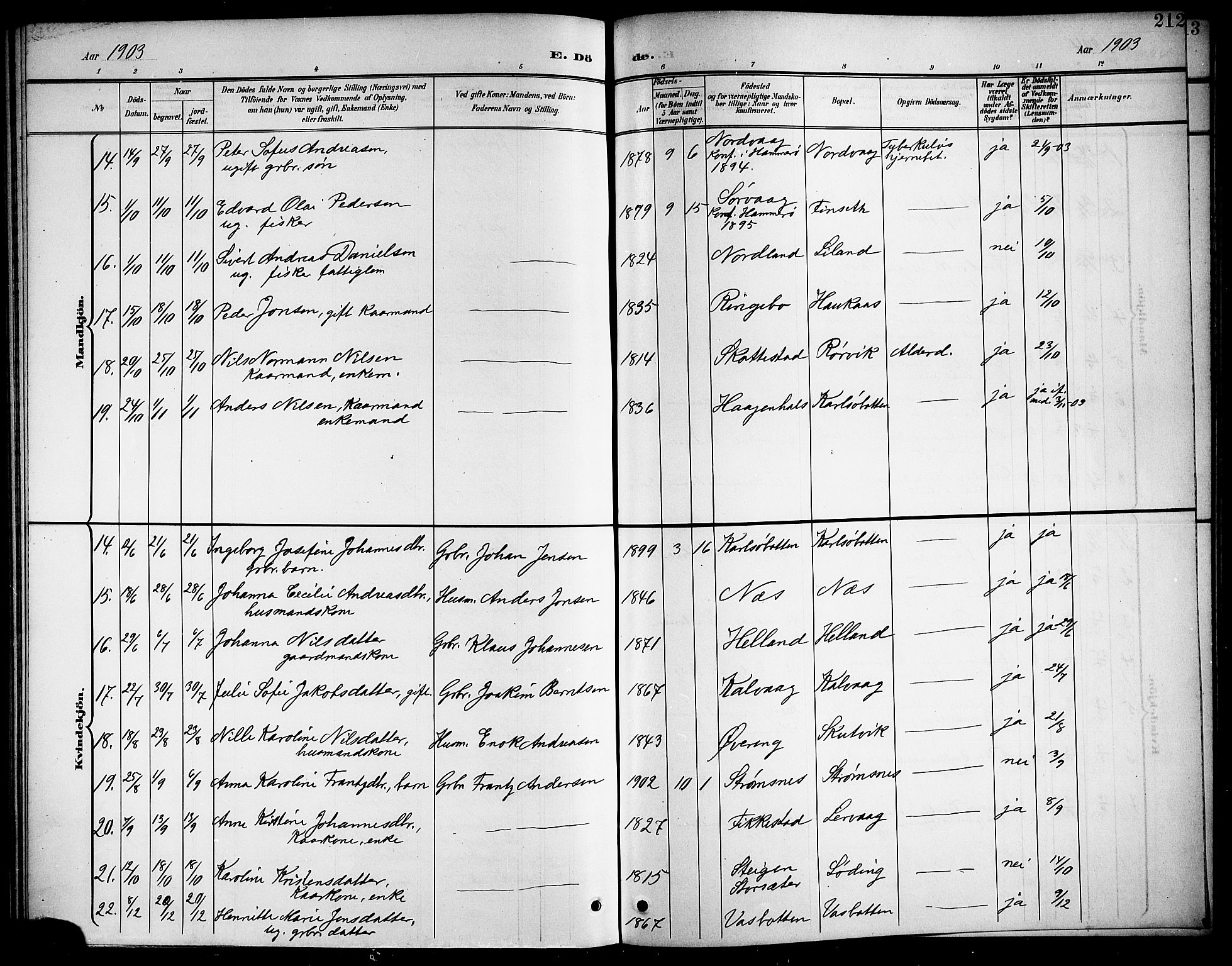 Ministerialprotokoller, klokkerbøker og fødselsregistre - Nordland, AV/SAT-A-1459/859/L0860: Parish register (copy) no. 859C06, 1899-1909, p. 212