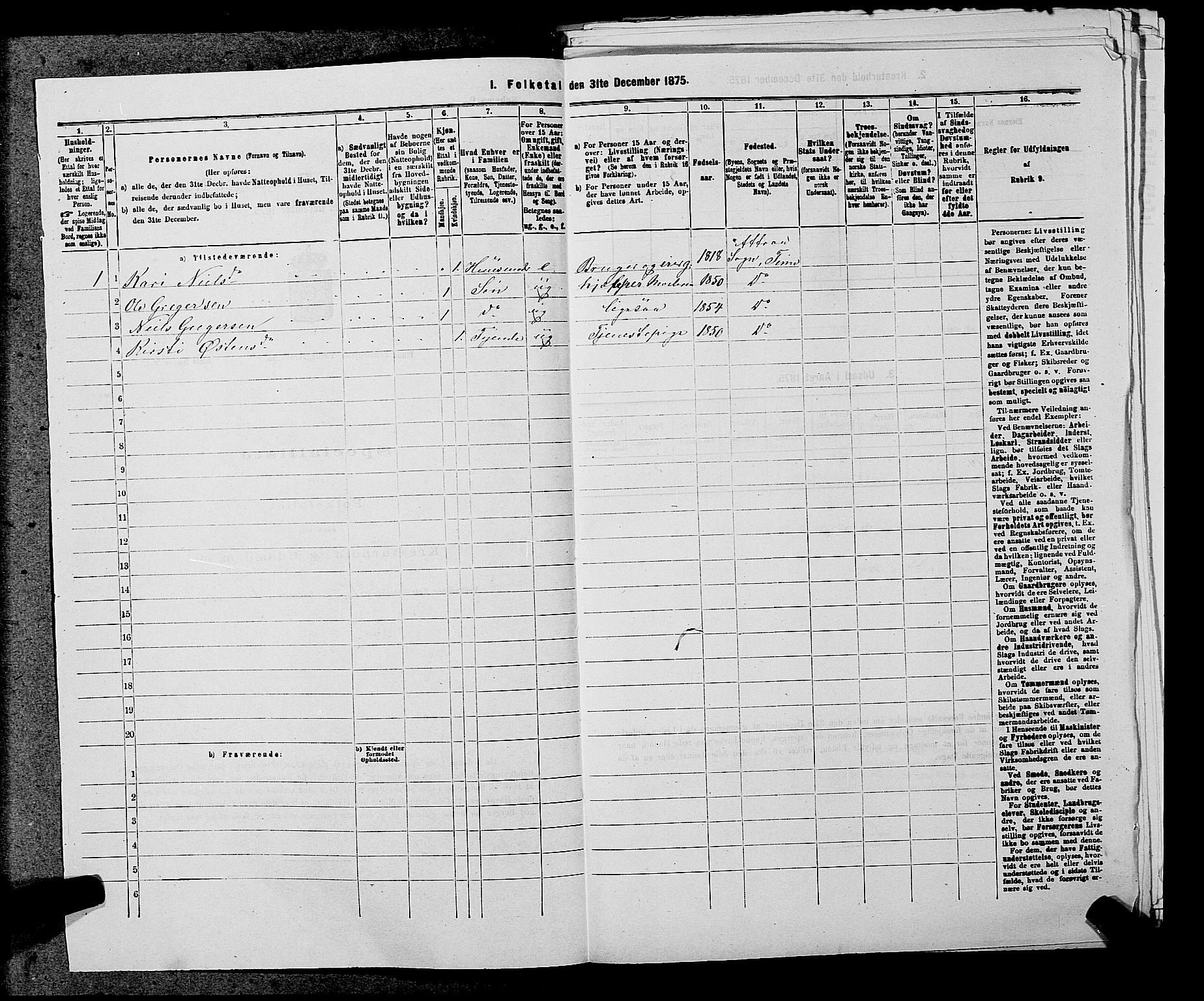 SAKO, 1875 census for 0826P Tinn, 1875, p. 507