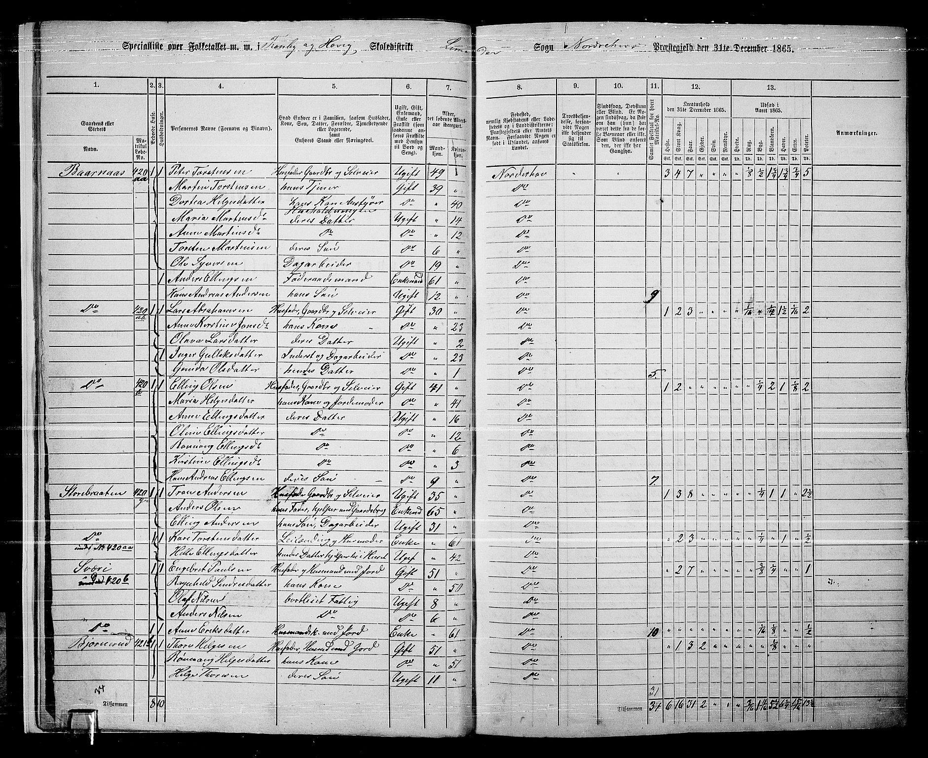 RA, 1865 census for Norderhov/Norderhov, Haug og Lunder, 1865, p. 17