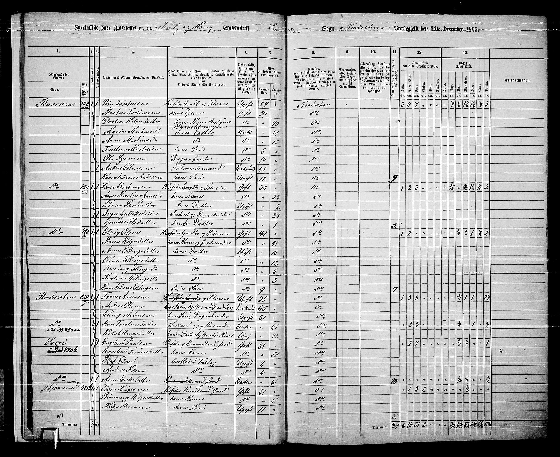 RA, 1865 census for Norderhov/Norderhov, Haug og Lunder, 1865, p. 17