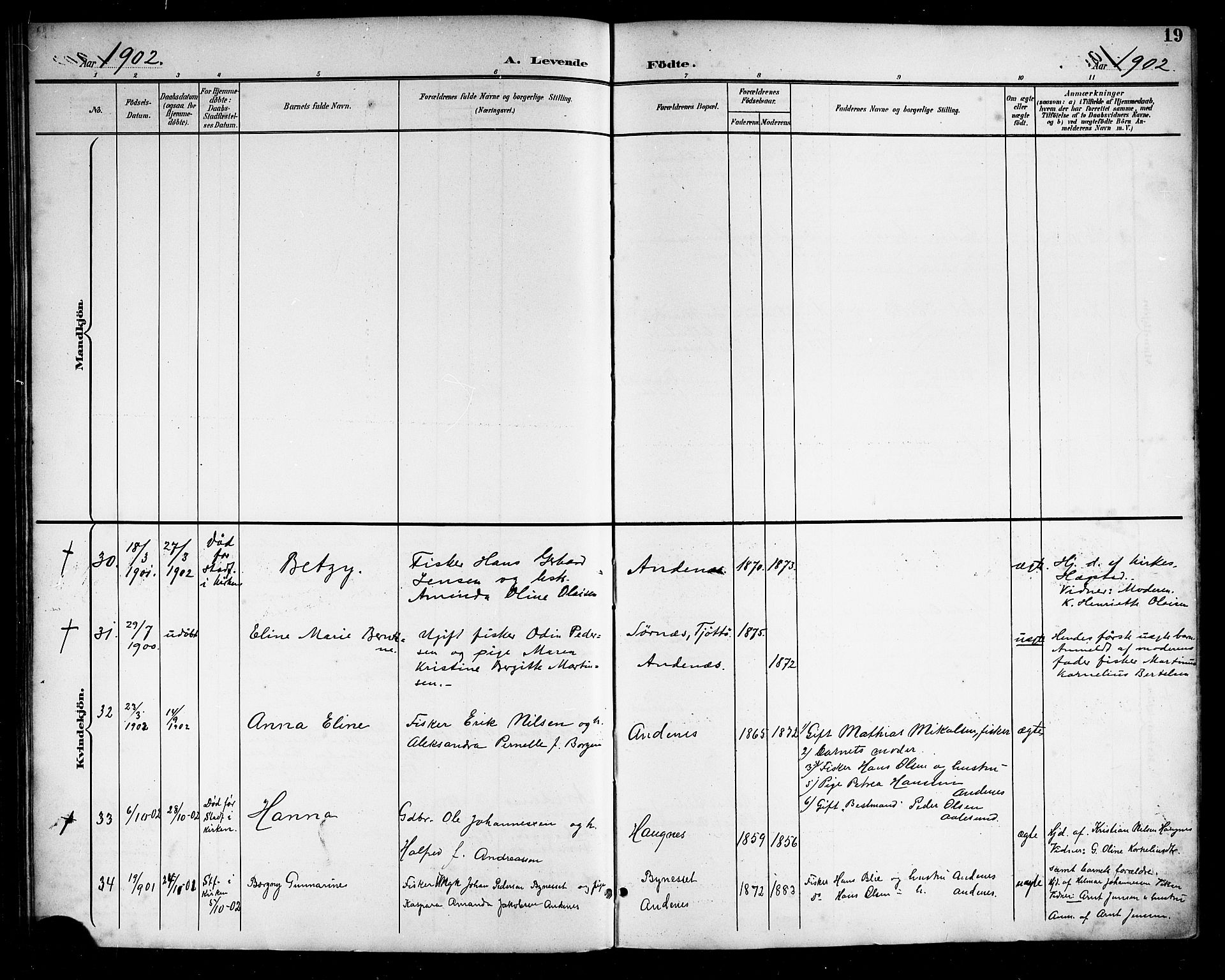 Ministerialprotokoller, klokkerbøker og fødselsregistre - Nordland, AV/SAT-A-1459/899/L1449: Parish register (copy) no. 899C04, 1900-1918, p. 19