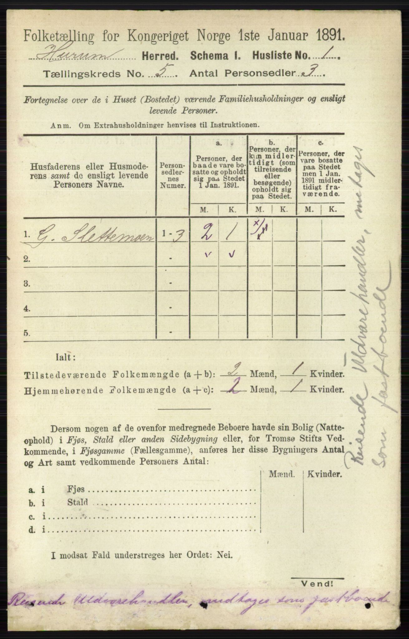 RA, 1891 census for 0628 Hurum, 1891, p. 1313