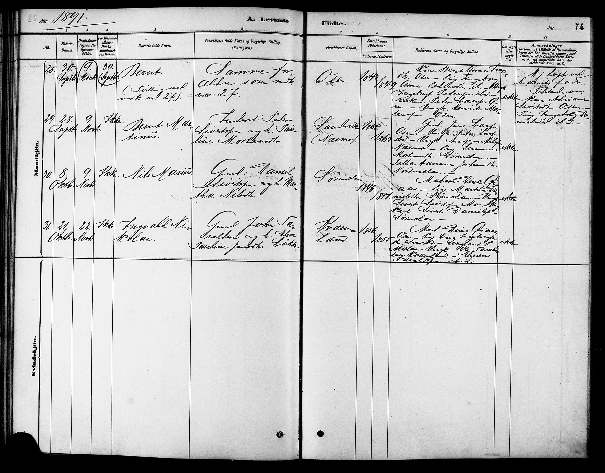 Ministerialprotokoller, klokkerbøker og fødselsregistre - Sør-Trøndelag, AV/SAT-A-1456/658/L0722: Parish register (official) no. 658A01, 1879-1896, p. 74