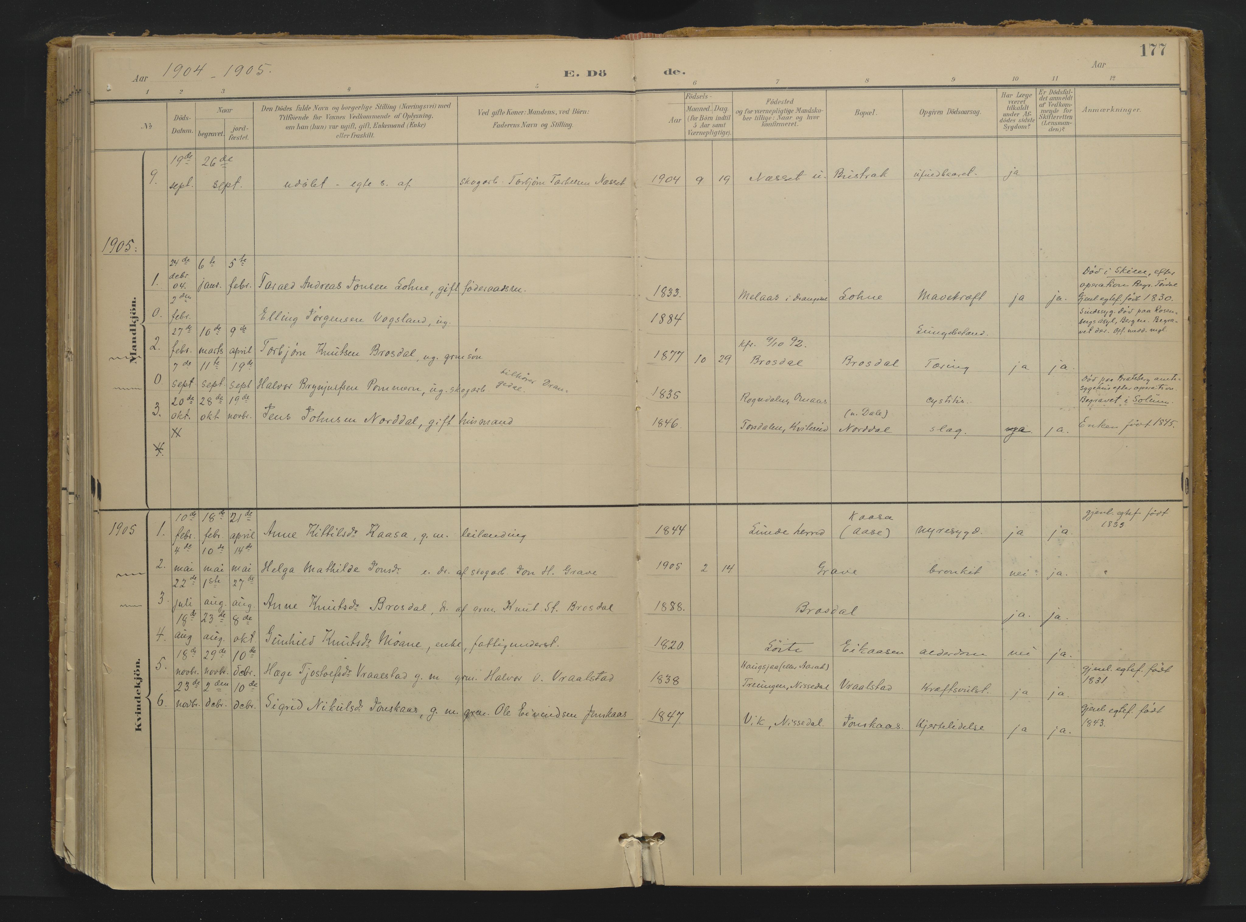 Drangedal kirkebøker, SAKO/A-258/F/Fa/L0013: Parish register (official) no. 13, 1895-1919, p. 177