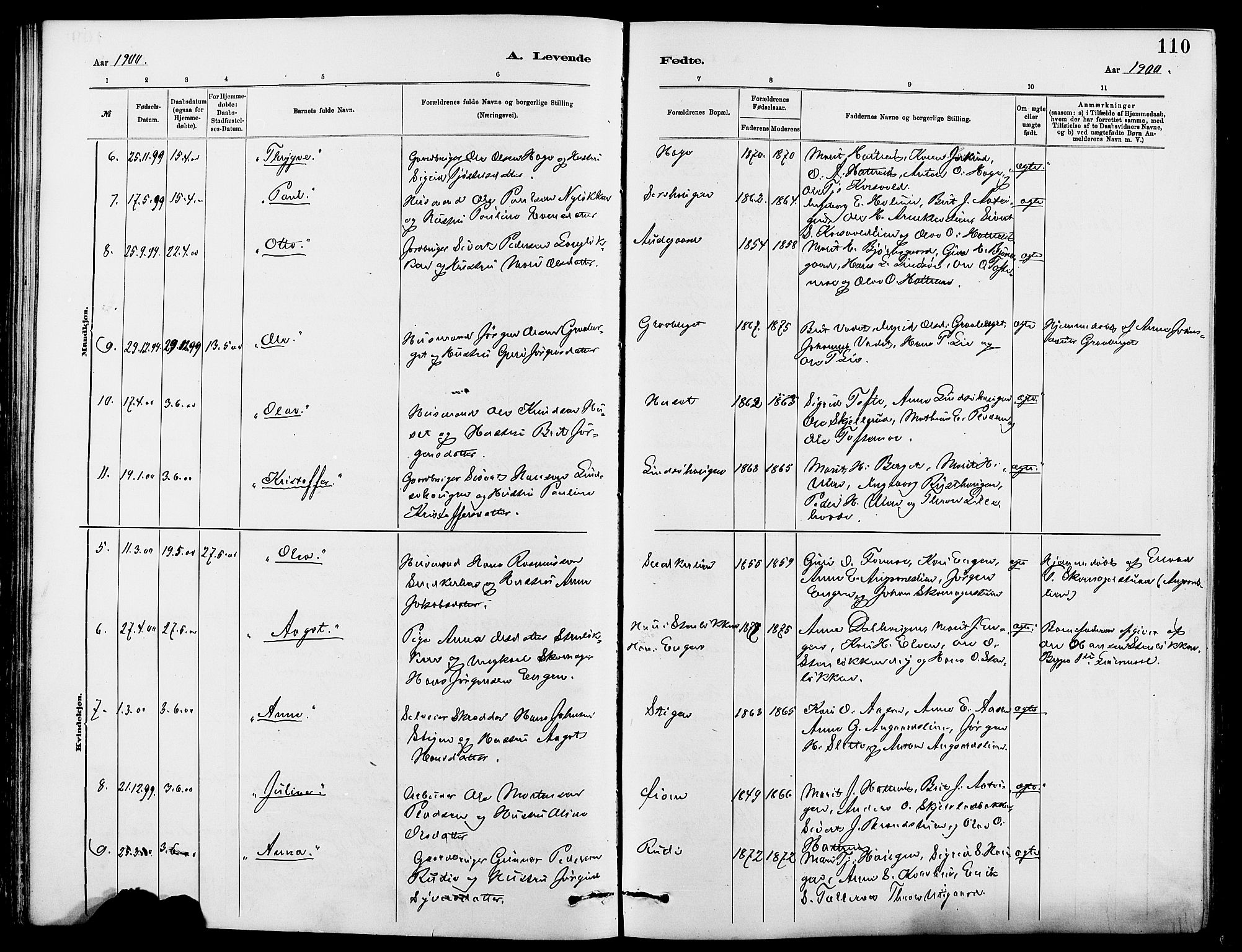 Dovre prestekontor, SAH/PREST-066/H/Ha/Hab/L0002: Parish register (copy) no. 2, 1881-1907, p. 110