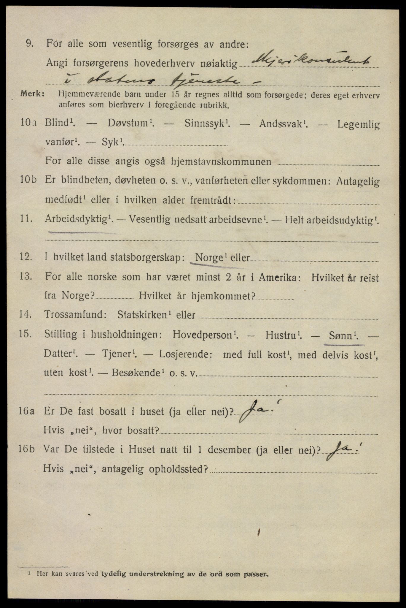 SAKO, 1920 census for Larvik, 1920, p. 13637