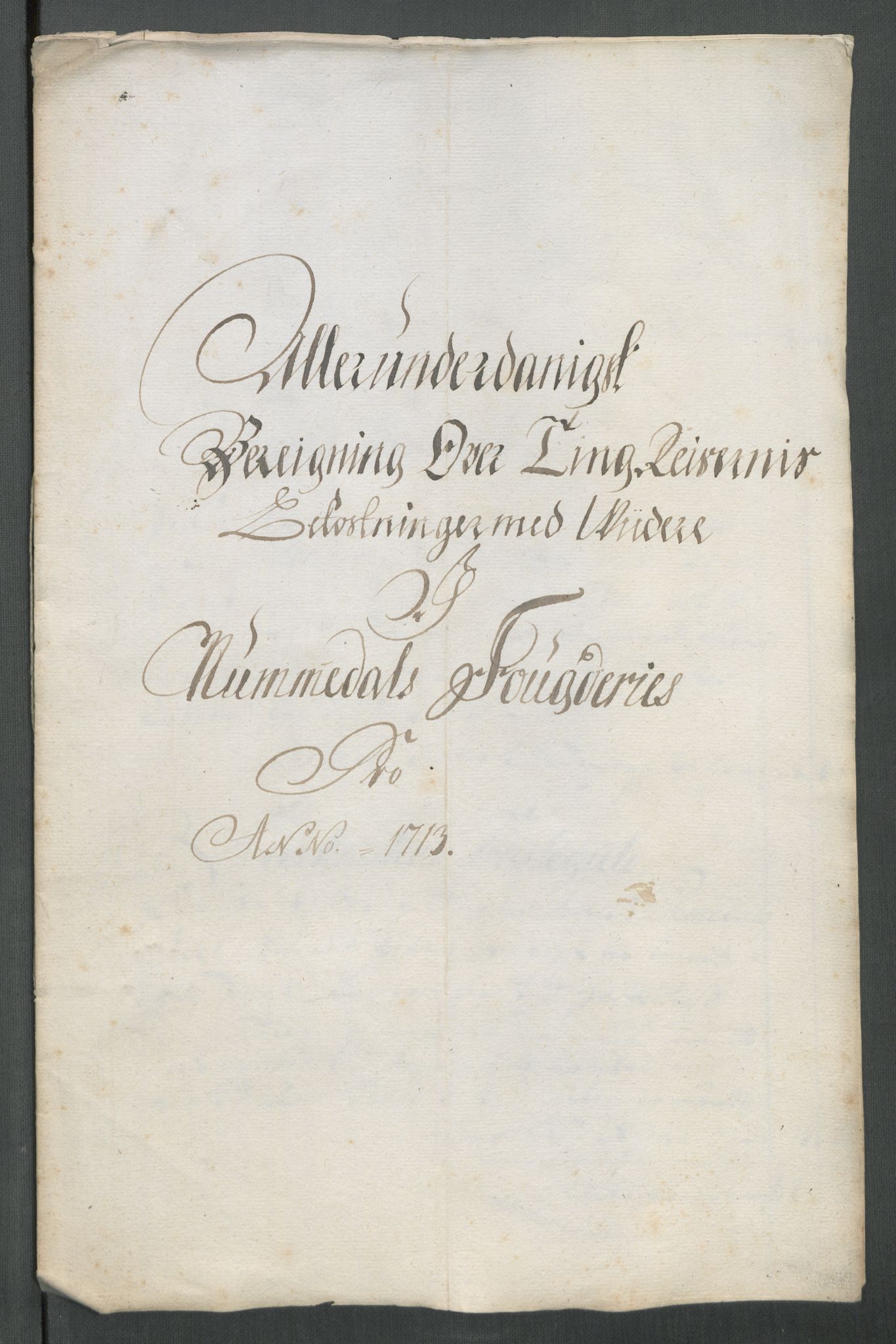 Rentekammeret inntil 1814, Reviderte regnskaper, Fogderegnskap, RA/EA-4092/R64/L4434: Fogderegnskap Namdal, 1713, p. 268