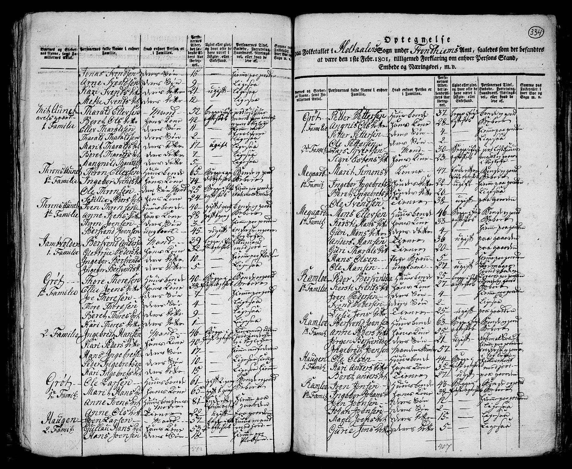 RA, 1801 census for 1645P Haltdalen, 1801, p. 333b-334a