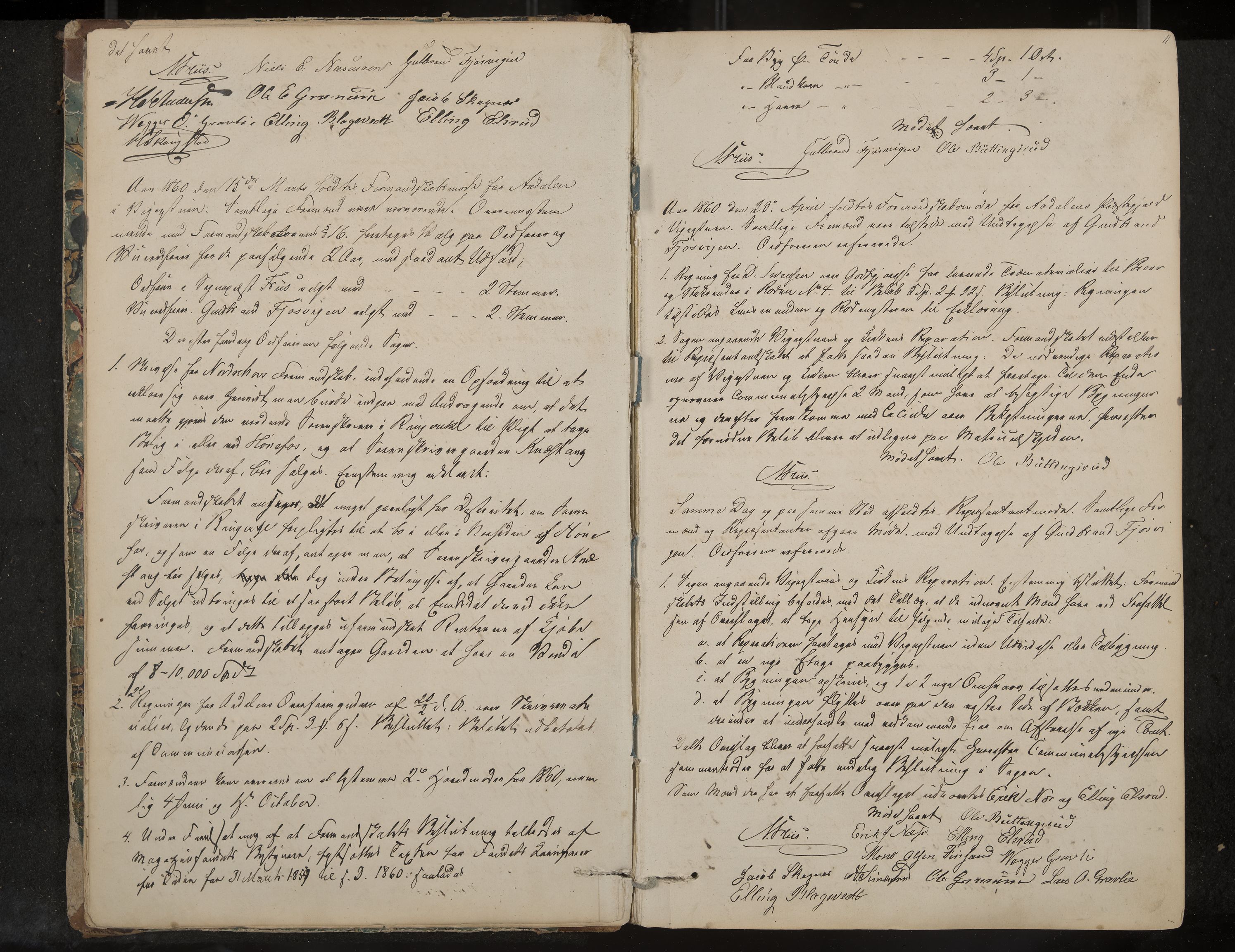 Ådal formannskap og sentraladministrasjon, IKAK/0614021/A/Aa/L0001: Møtebok, 1858-1891, p. 11