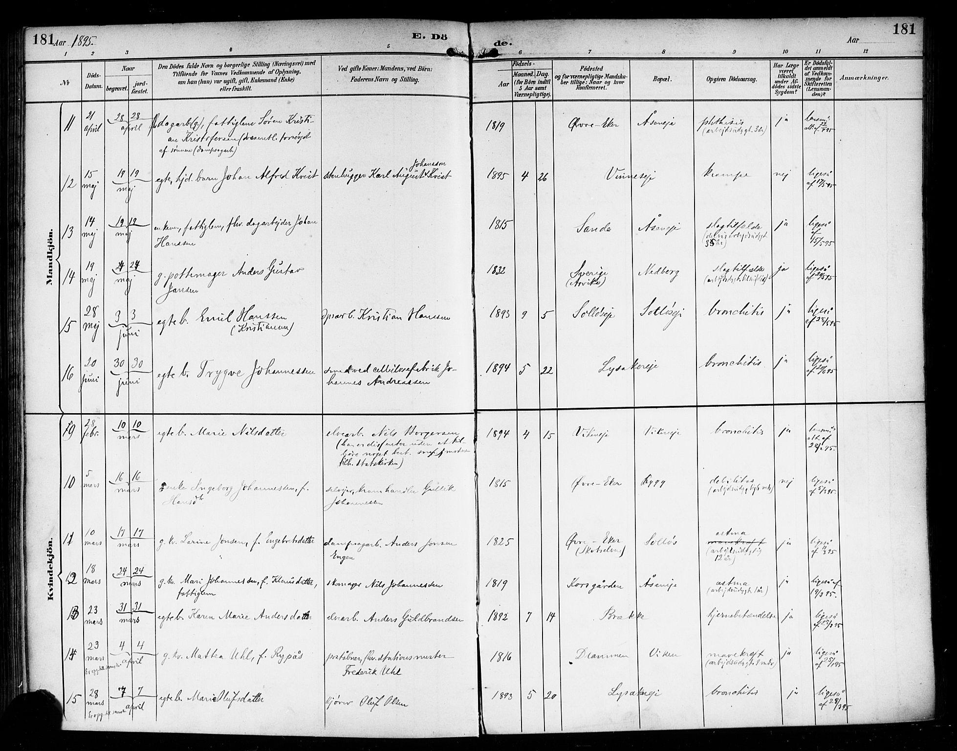 Nedre Eiker kirkebøker, AV/SAKO-A-612/F/Fa/L0004: Parish register (official) no. 4, 1893-1898, p. 181