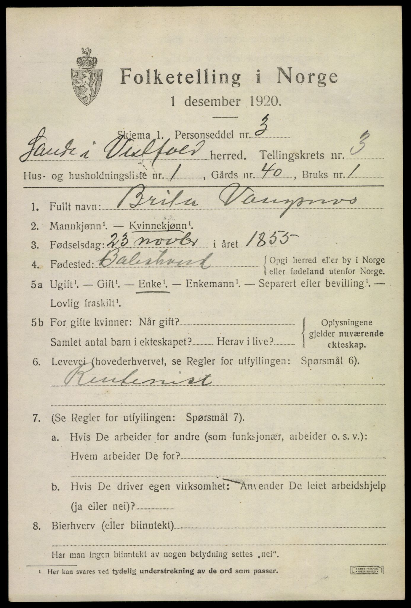 SAKO, 1920 census for Sande, 1920, p. 4054