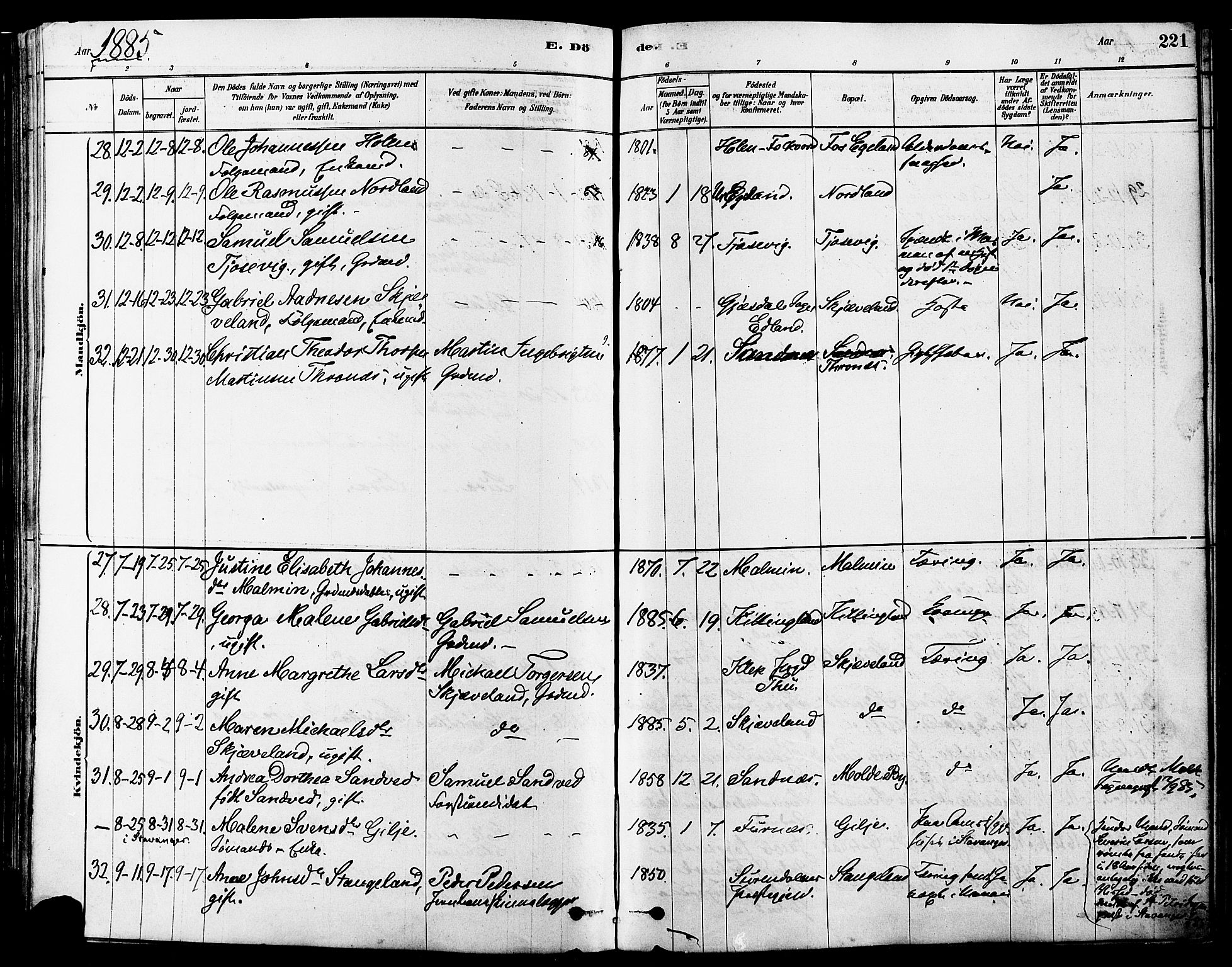 Høyland sokneprestkontor, AV/SAST-A-101799/001/30BA/L0011: Parish register (official) no. A 10, 1878-1888, p. 221