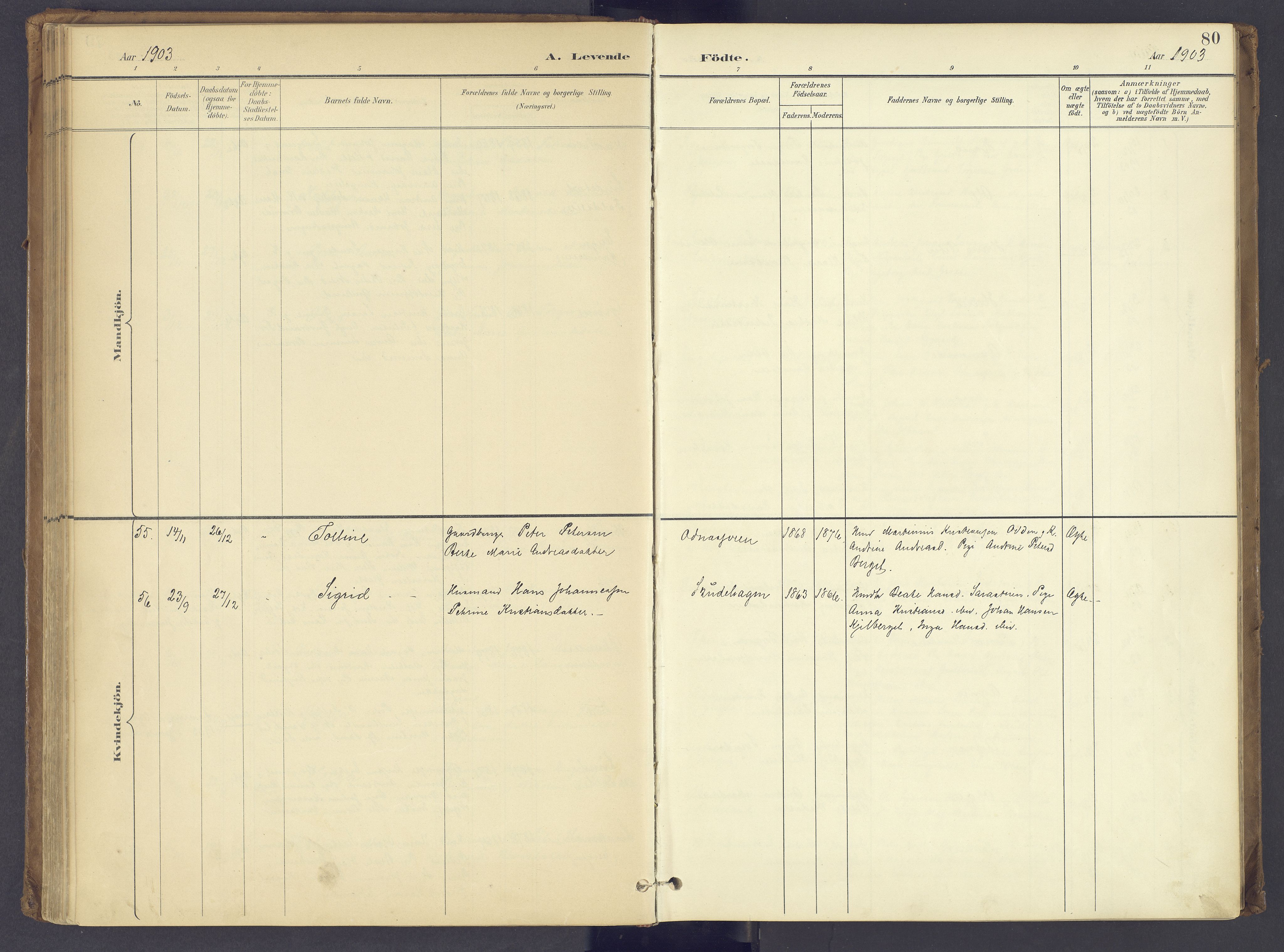 Søndre Land prestekontor, SAH/PREST-122/K/L0006: Parish register (official) no. 6, 1895-1904, p. 80