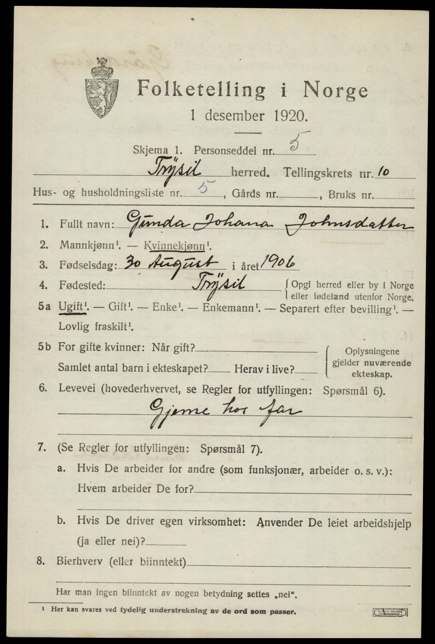 SAH, 1920 census for Trysil, 1920, p. 6919