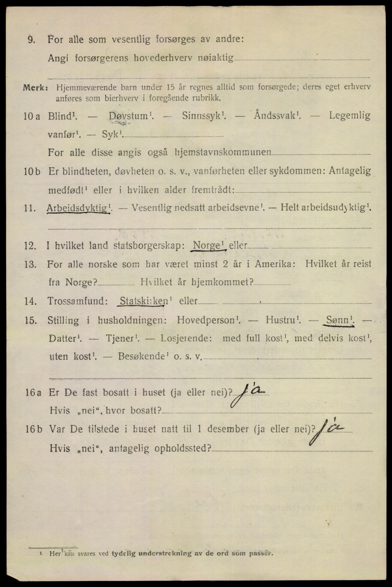 SAKO, 1920 census for Skien, 1920, p. 24801