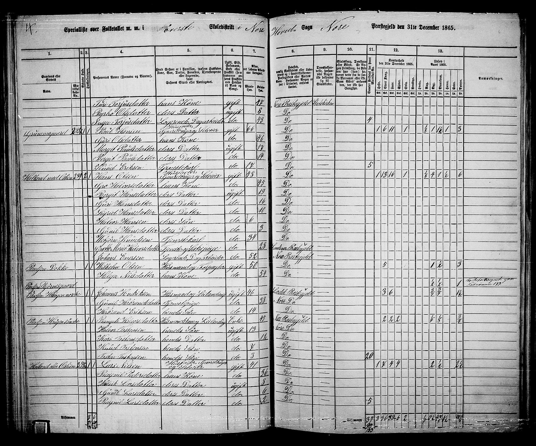 RA, 1865 census for Nore, 1865, p. 73