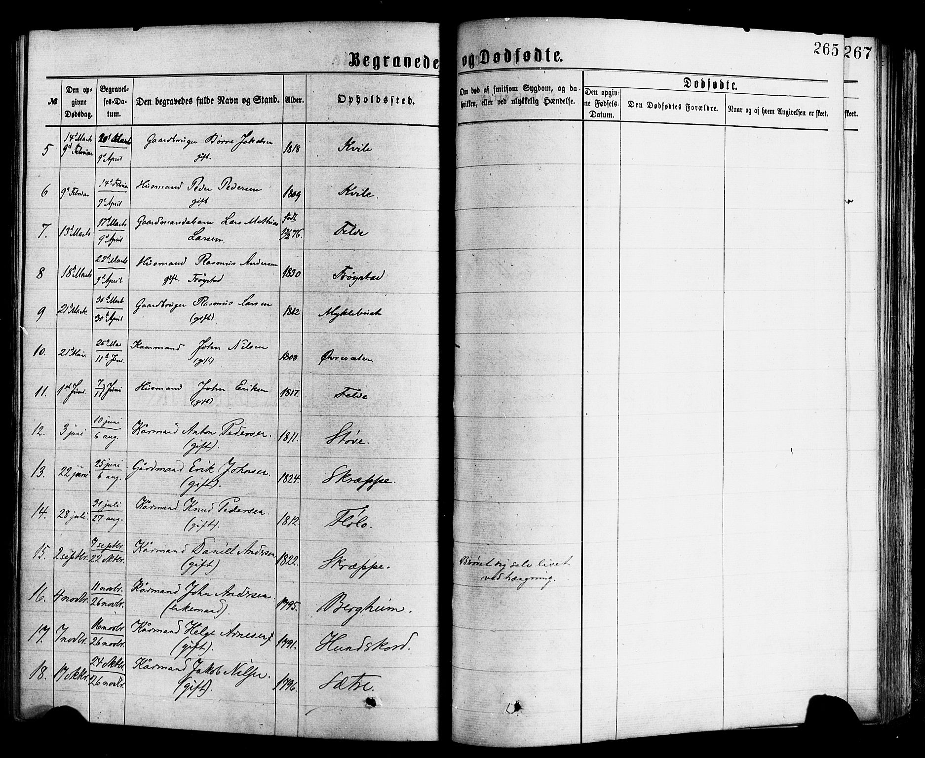 Gloppen sokneprestembete, AV/SAB-A-80101/H/Haa/Haac/L0001: Parish register (official) no. C 1, 1871-1886, p. 265