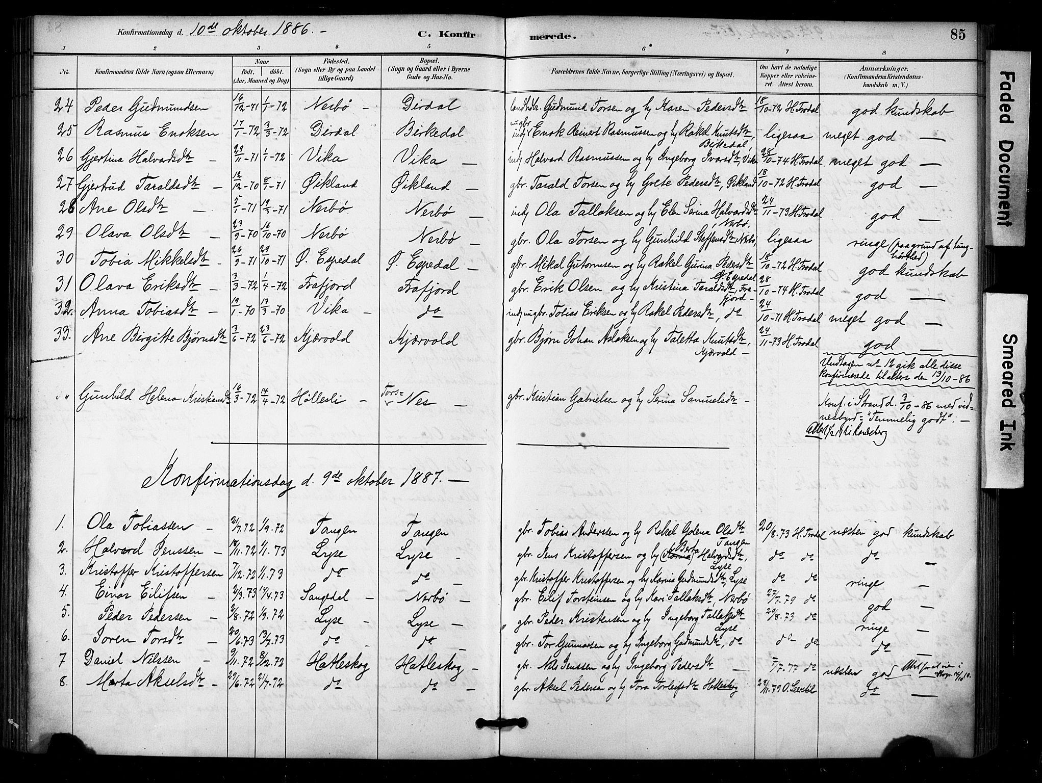 Høgsfjord sokneprestkontor, SAST/A-101624/H/Ha/Haa/L0006: Parish register (official) no. A 6, 1885-1897, p. 85