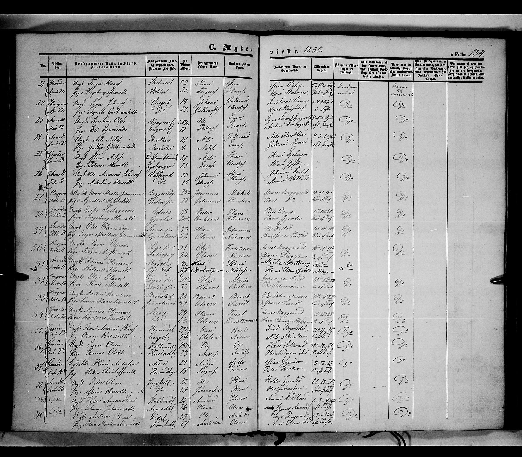 Land prestekontor, SAH/PREST-120/H/Ha/Haa/L0010: Parish register (official) no. 10, 1847-1859, p. 134