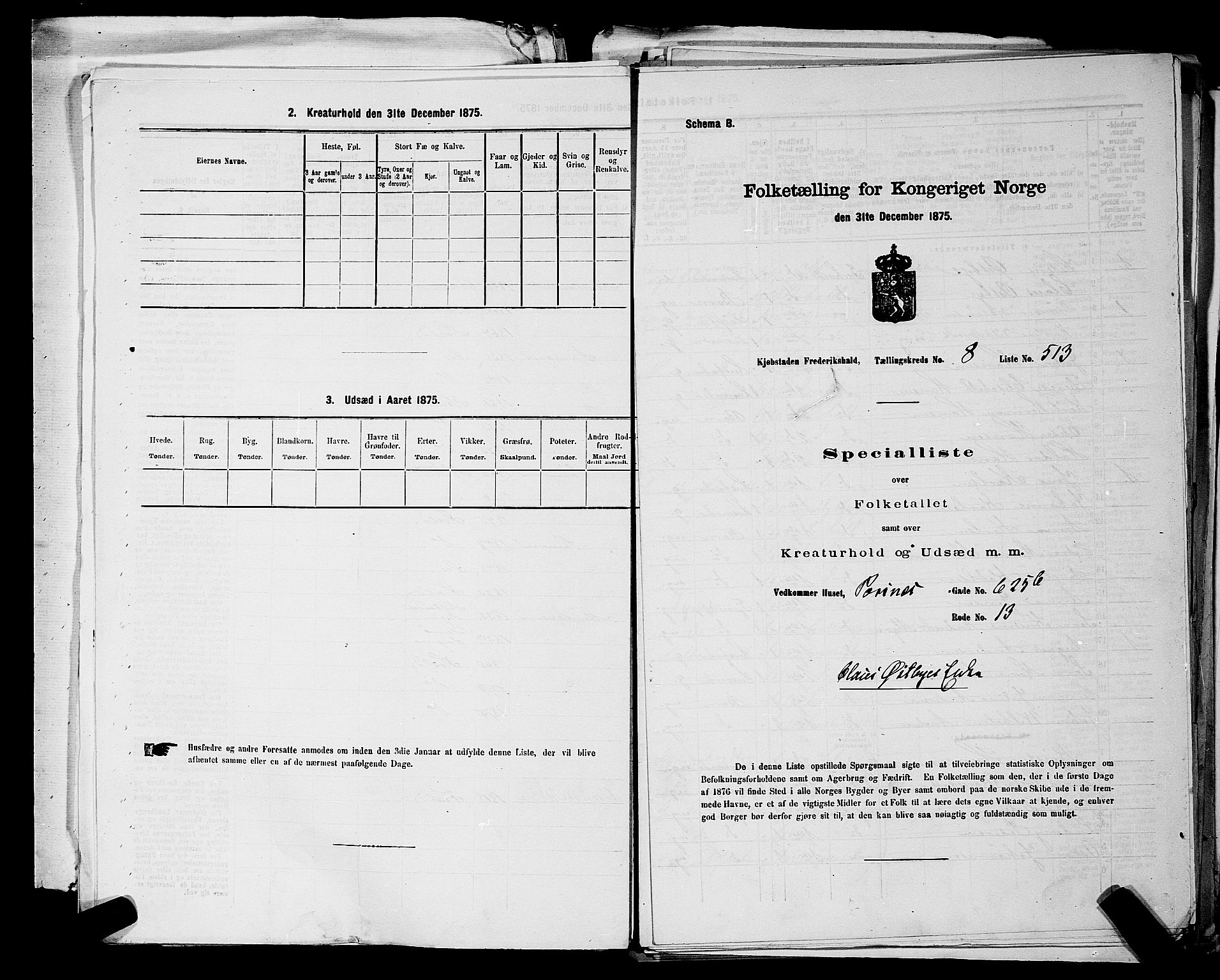 RA, 1875 census for 0101P Fredrikshald, 1875, p. 1143