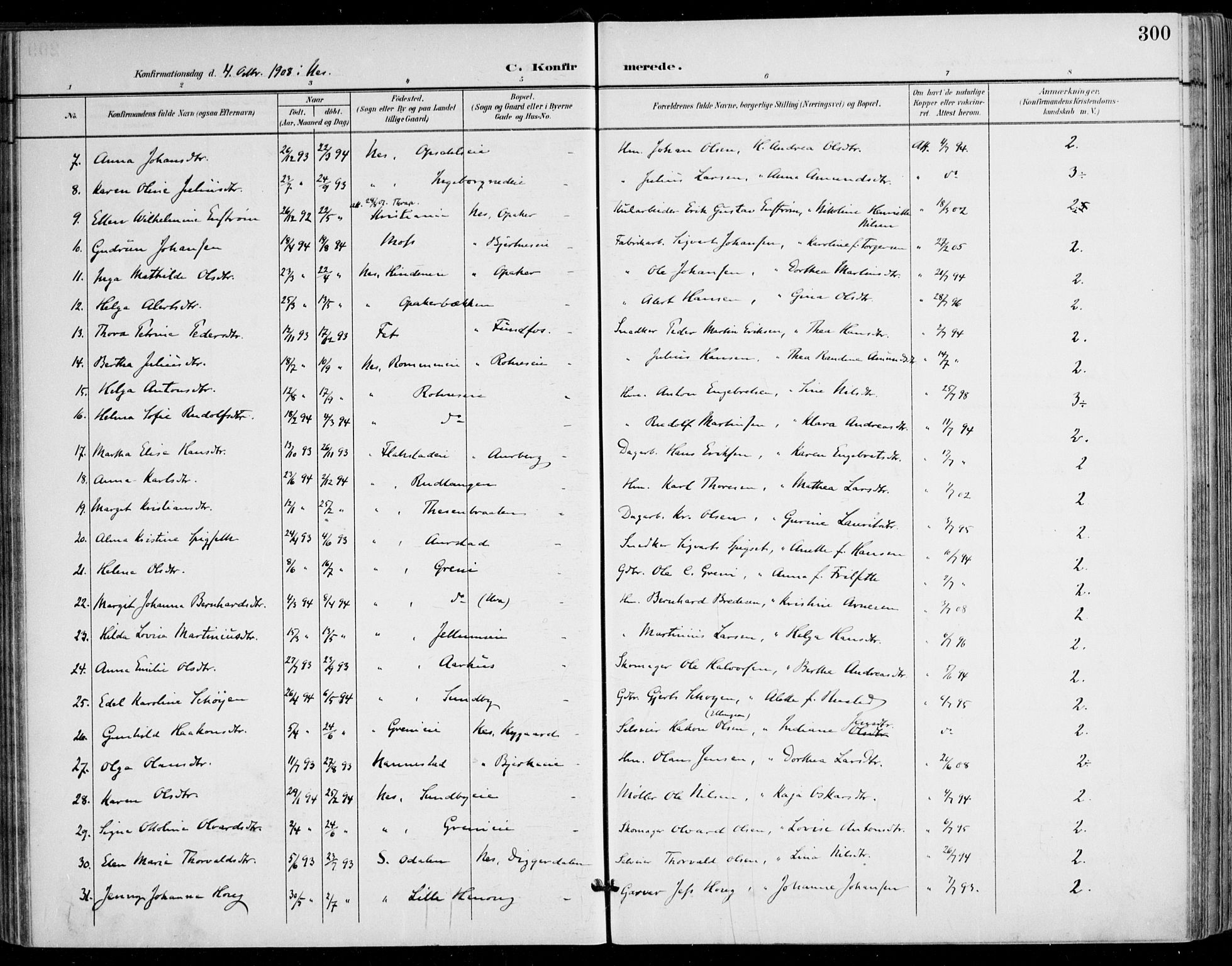 Nes prestekontor Kirkebøker, AV/SAO-A-10410/F/Fa/L0011: Parish register (official) no. I 11, 1899-1918, p. 300