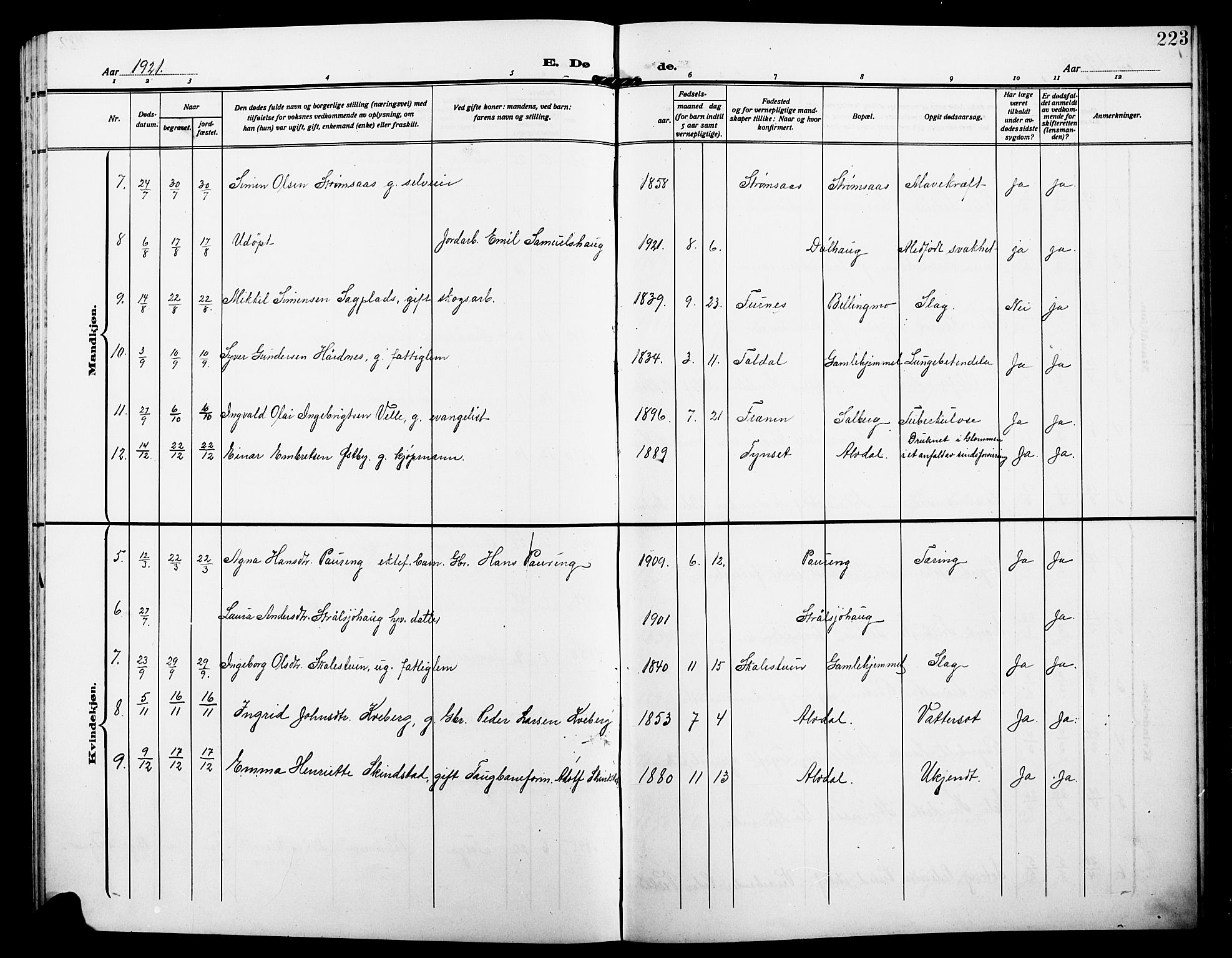 Alvdal prestekontor, AV/SAH-PREST-060/H/Ha/Hab/L0005: Parish register (copy) no. 5, 1908-1923, p. 223