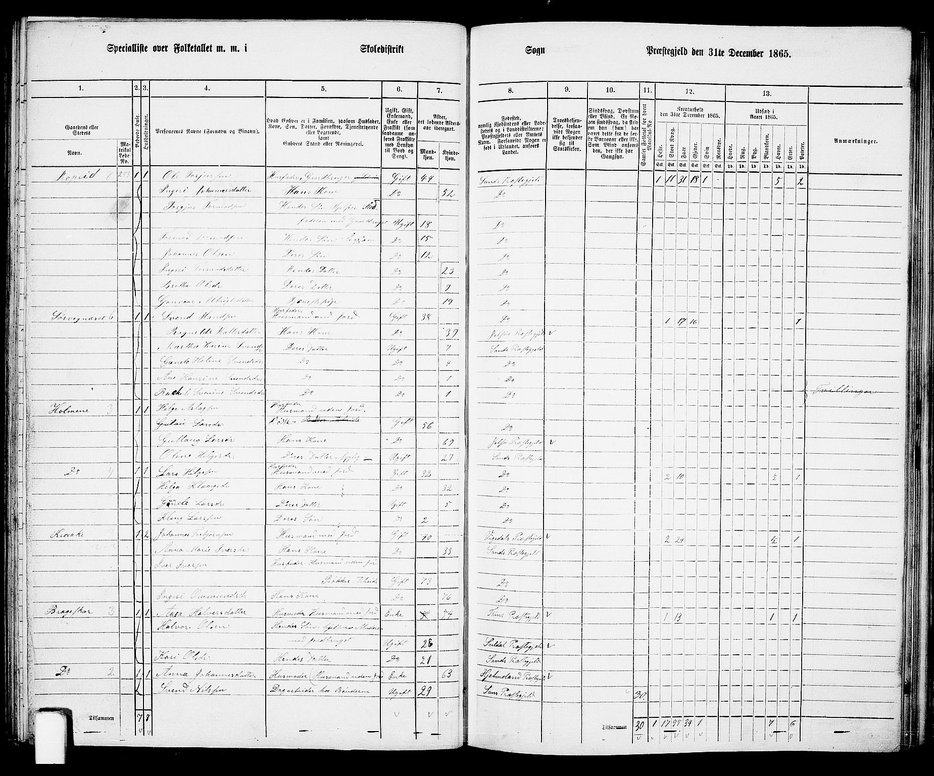 RA, 1865 census for Sand, 1865, p. 73