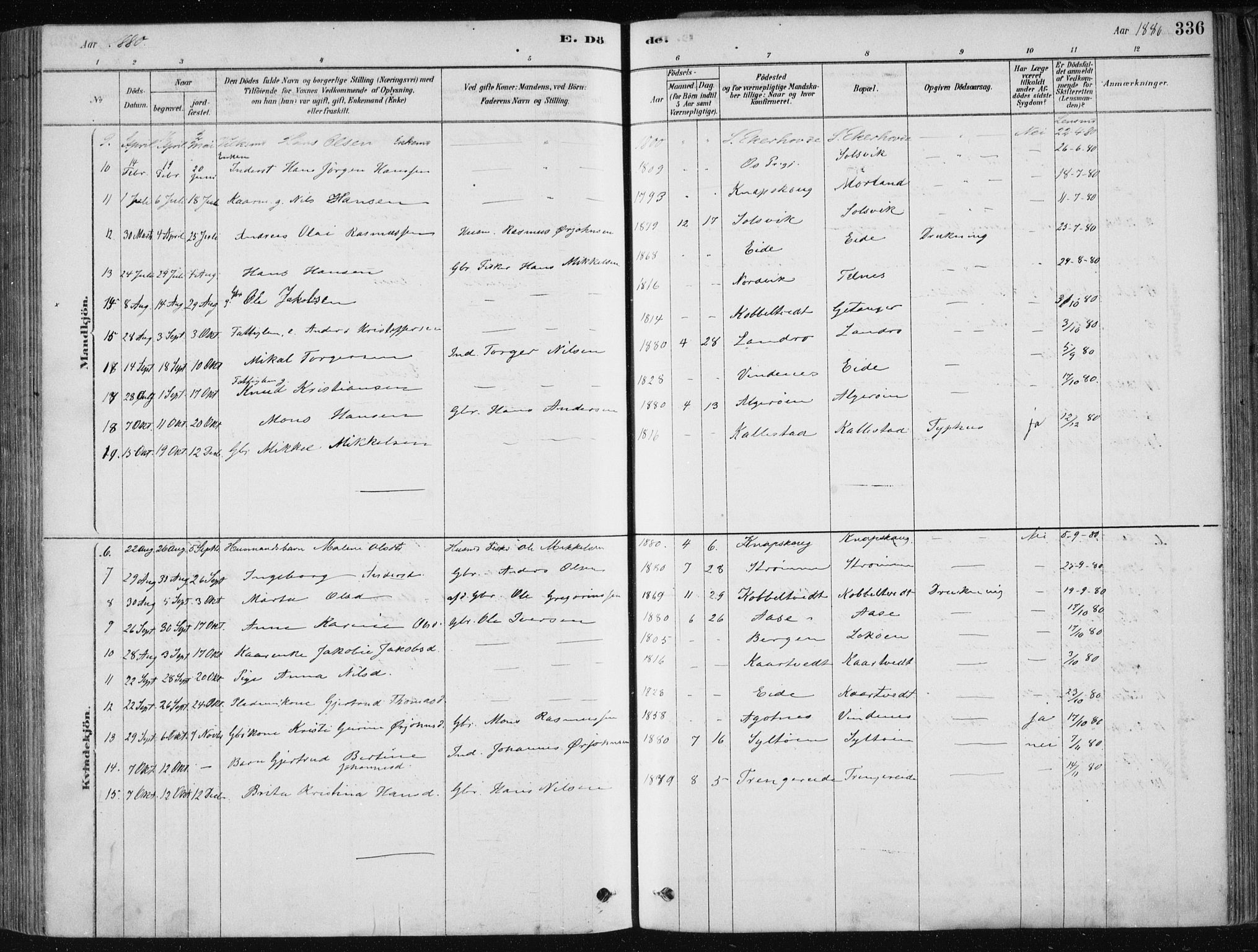 Fjell sokneprestembete, SAB/A-75301/H/Haa: Parish register (official) no. A  8, 1878-1898, p. 336