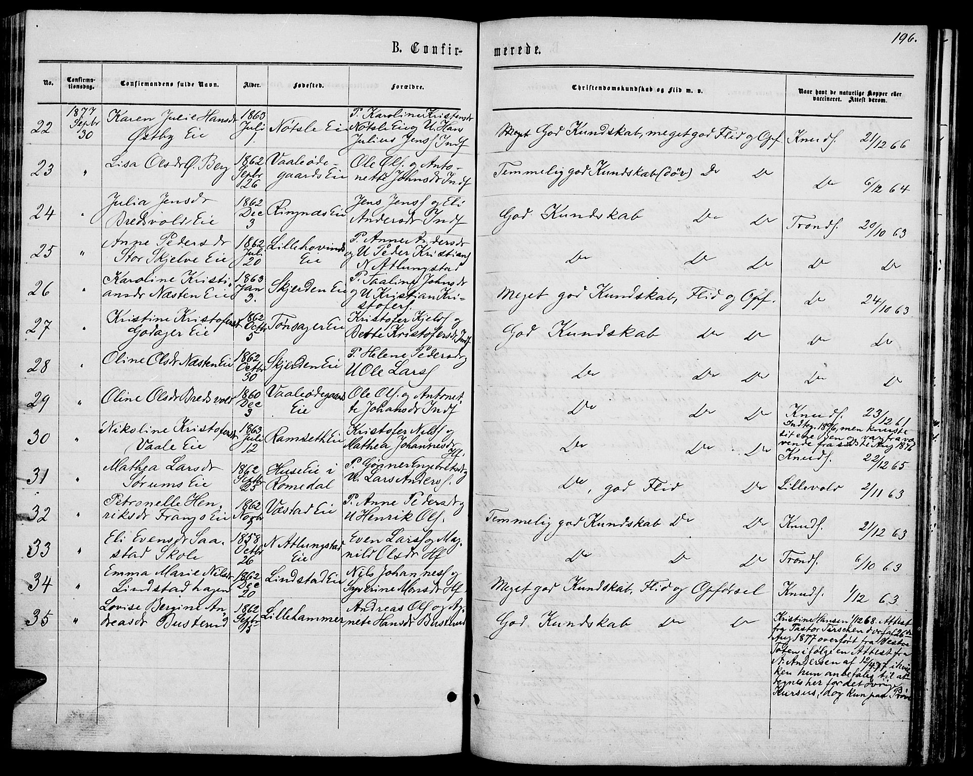 Stange prestekontor, AV/SAH-PREST-002/L/L0006: Parish register (copy) no. 6, 1864-1882, p. 196