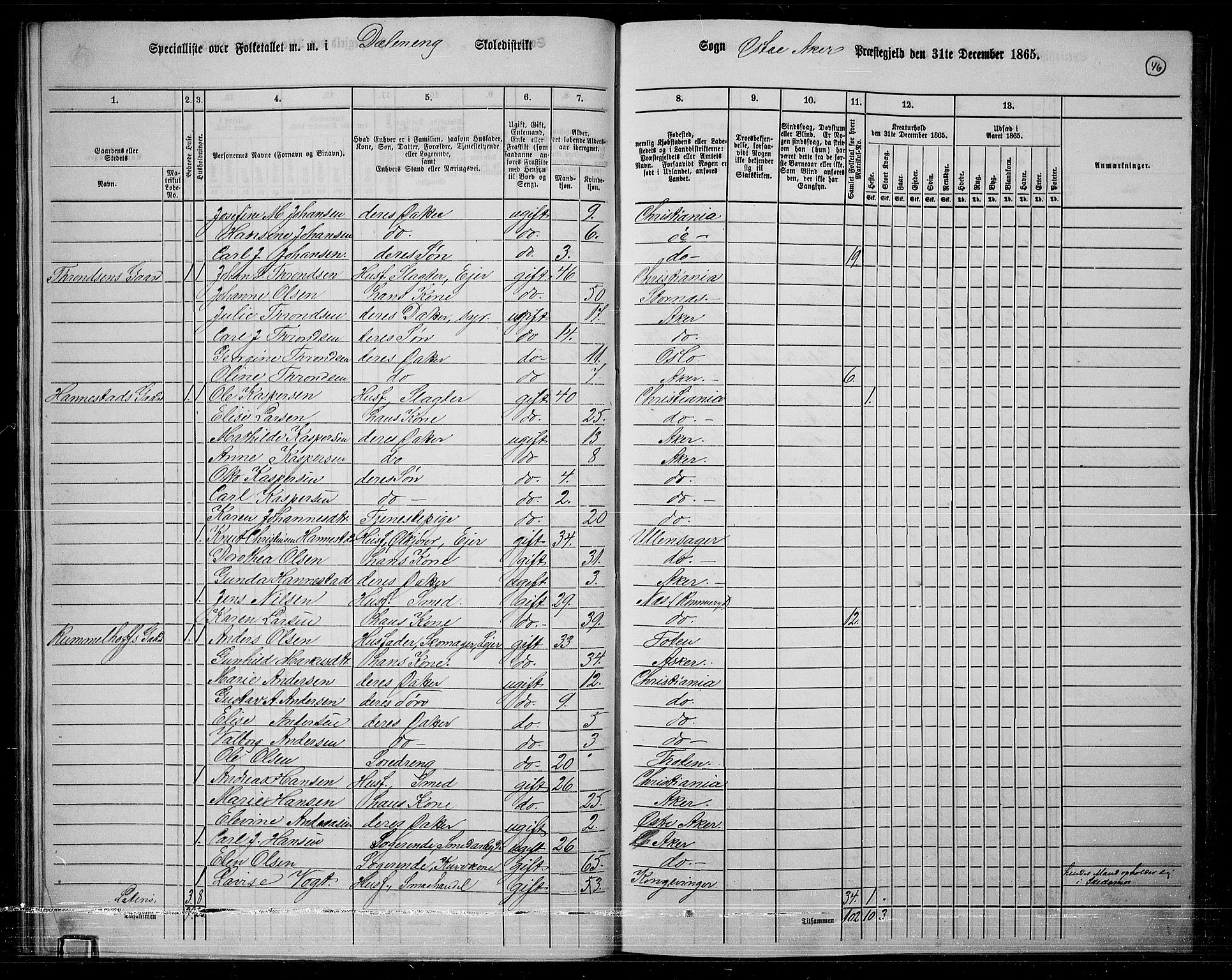 RA, 1865 census for Østre Aker, 1865, p. 43