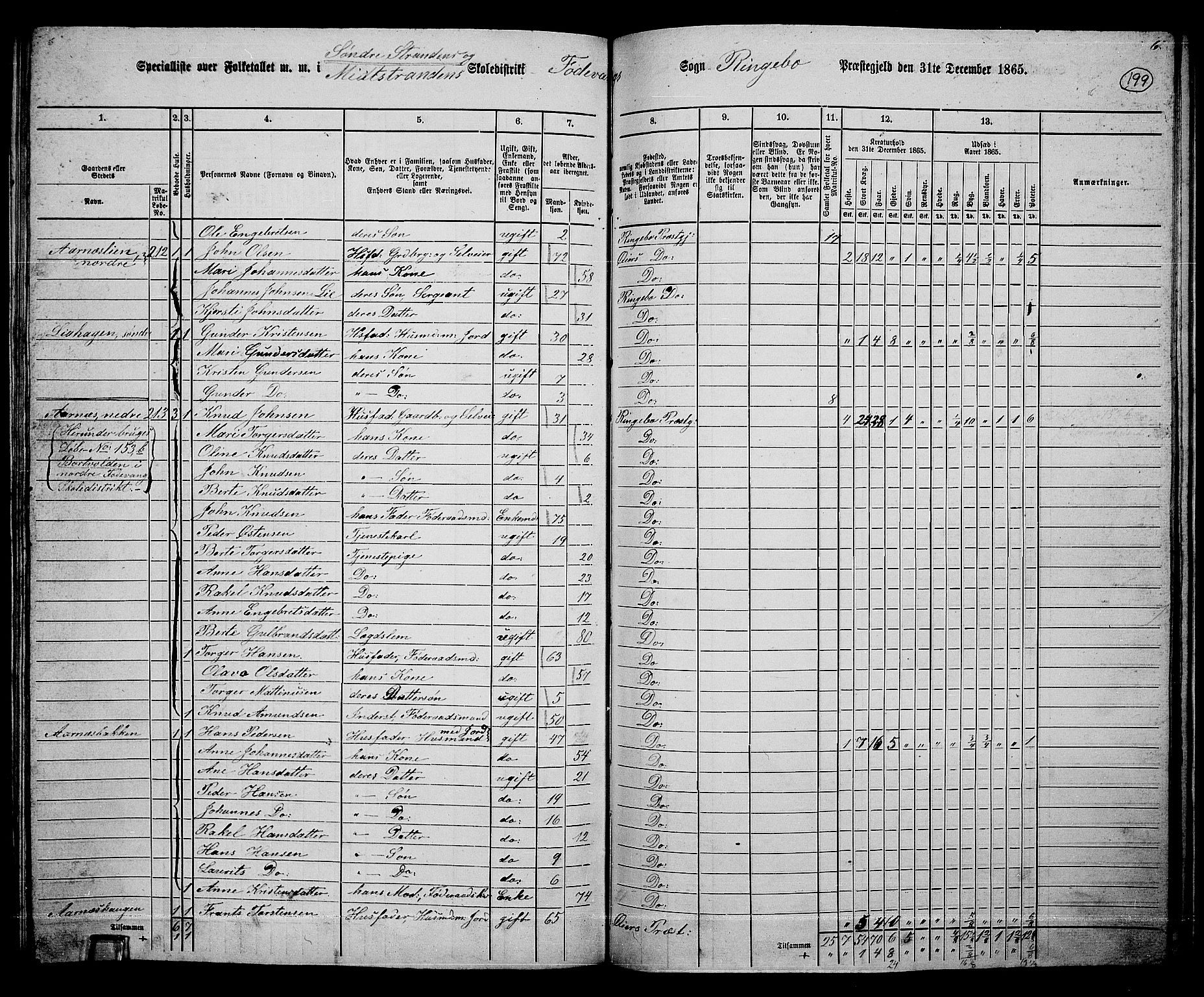 RA, 1865 census for Ringebu, 1865, p. 172