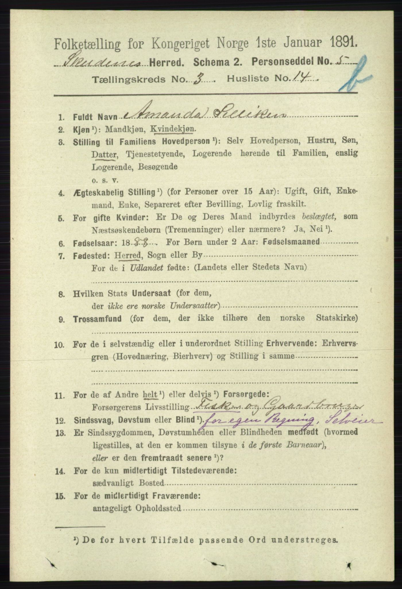 RA, 1891 census for 1150 Skudenes, 1891, p. 4071