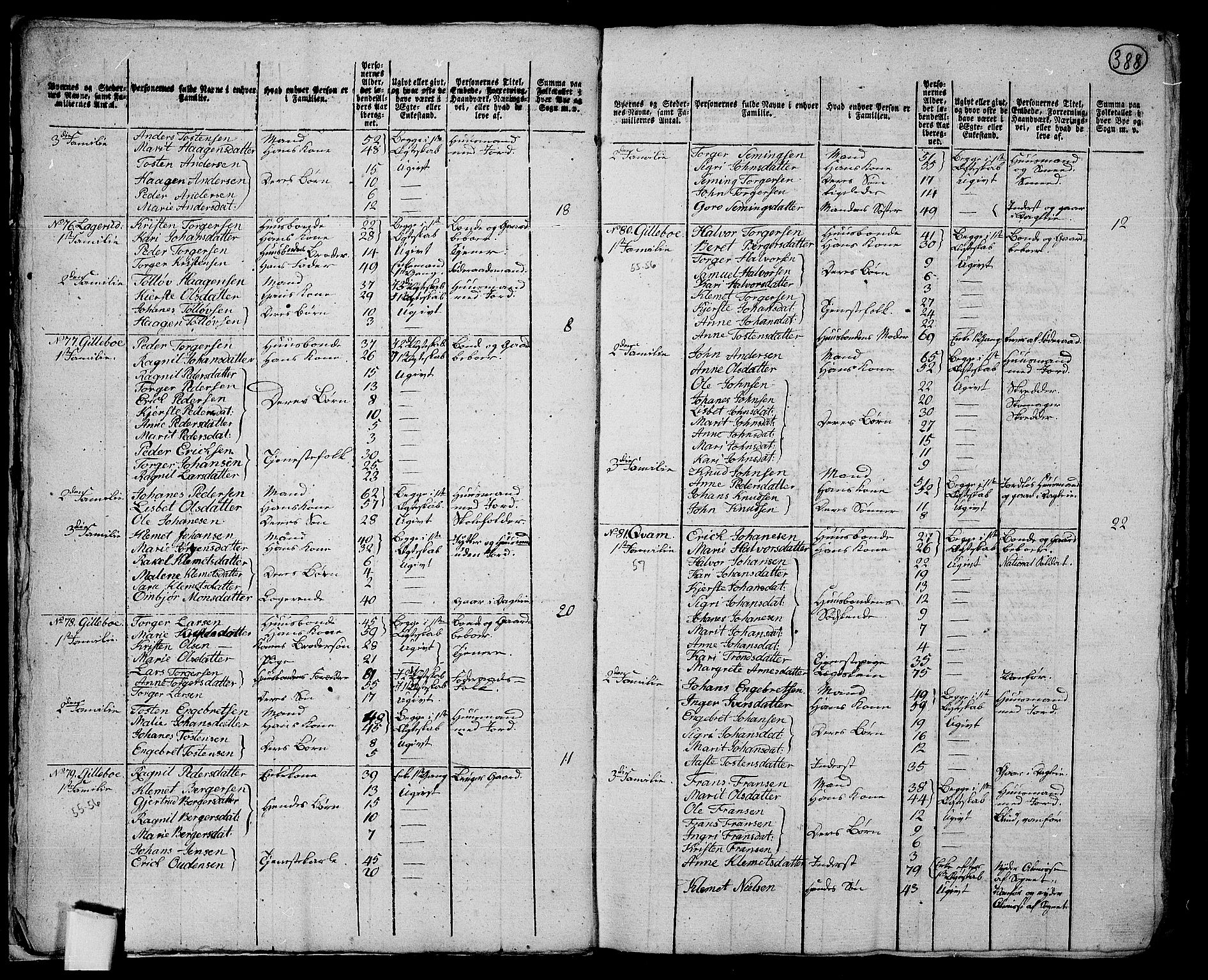 RA, 1801 census for 0521P Øyer, 1801, p. 387b-388a