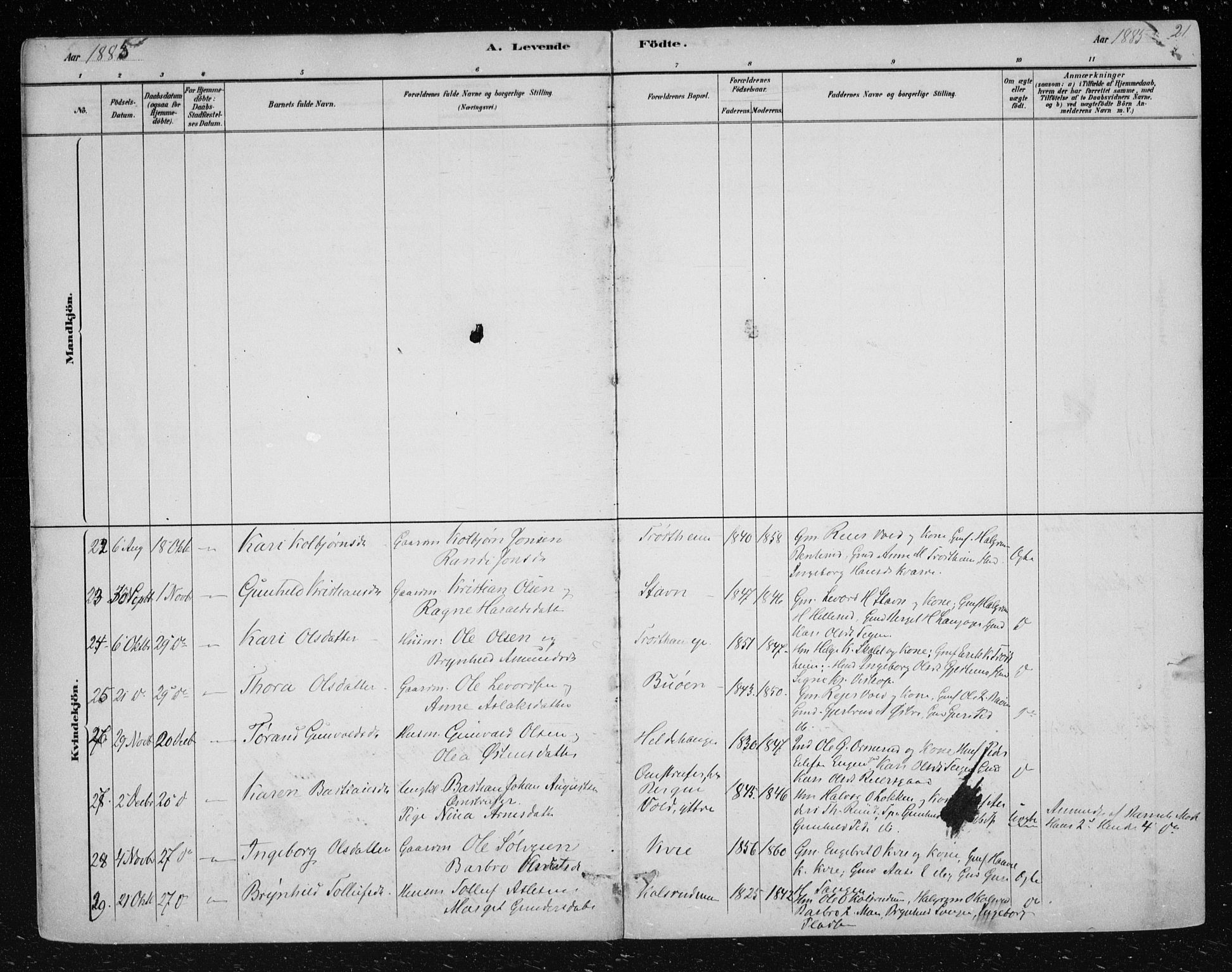 Nes kirkebøker, SAKO/A-236/F/Fa/L0012: Parish register (official) no. 12, 1881-1917, p. 21