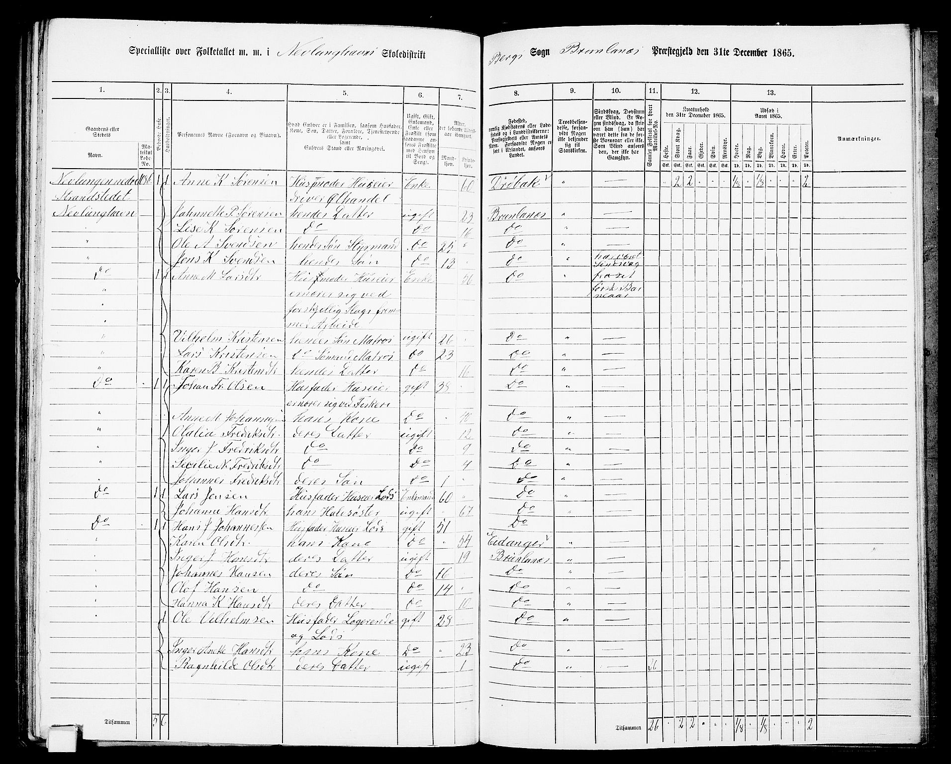 RA, 1865 census for Brunlanes, 1865, p. 153