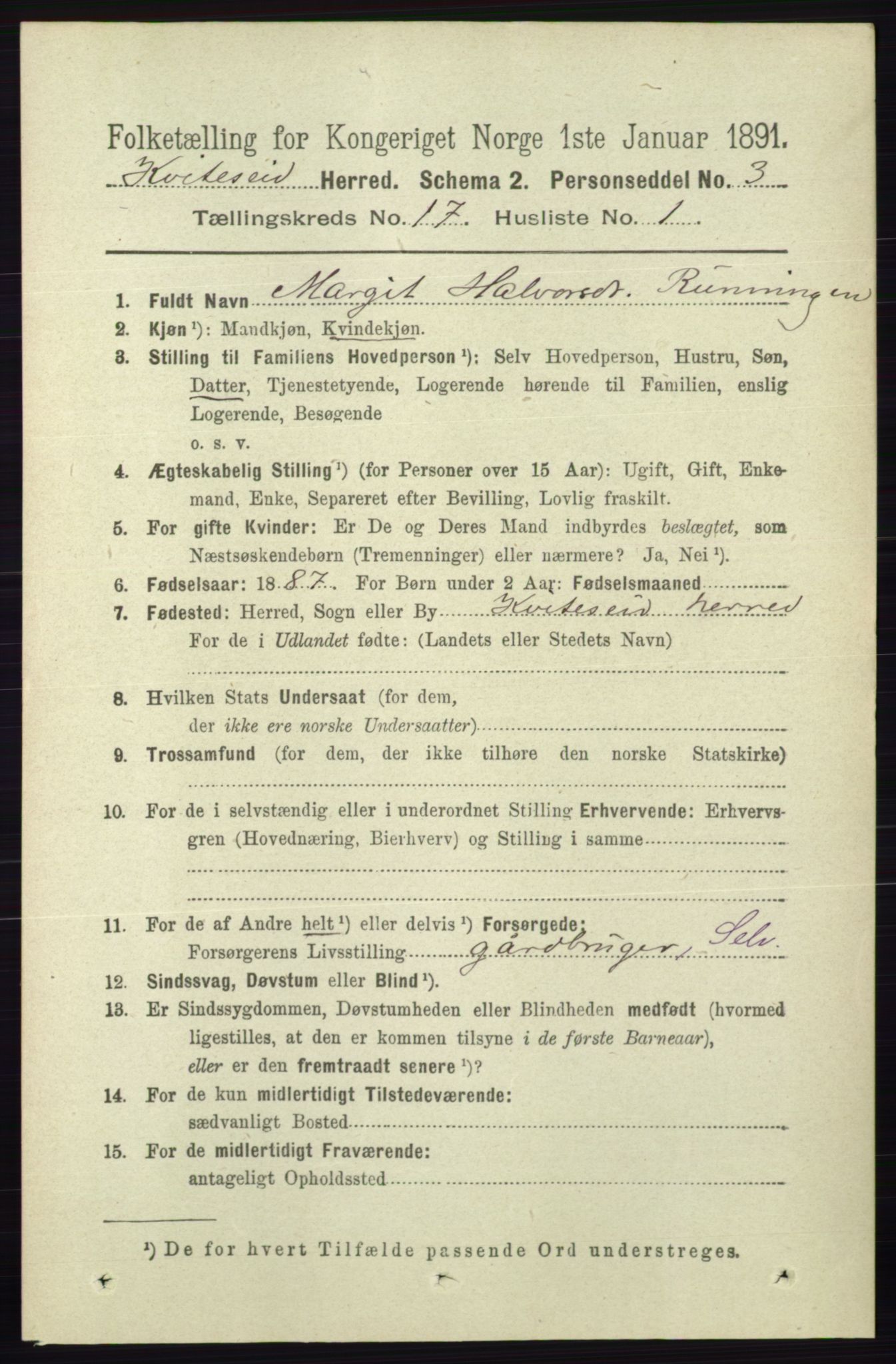 RA, 1891 census for 0829 Kviteseid, 1891, p. 3781