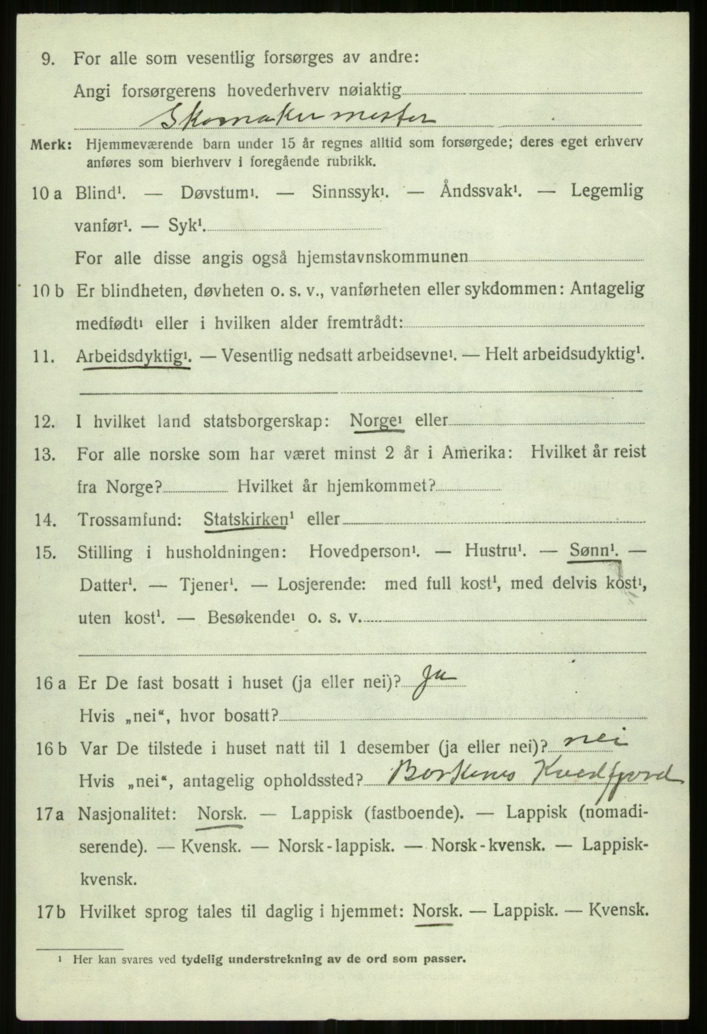 SATØ, 1920 census for Salangen, 1920, p. 4191