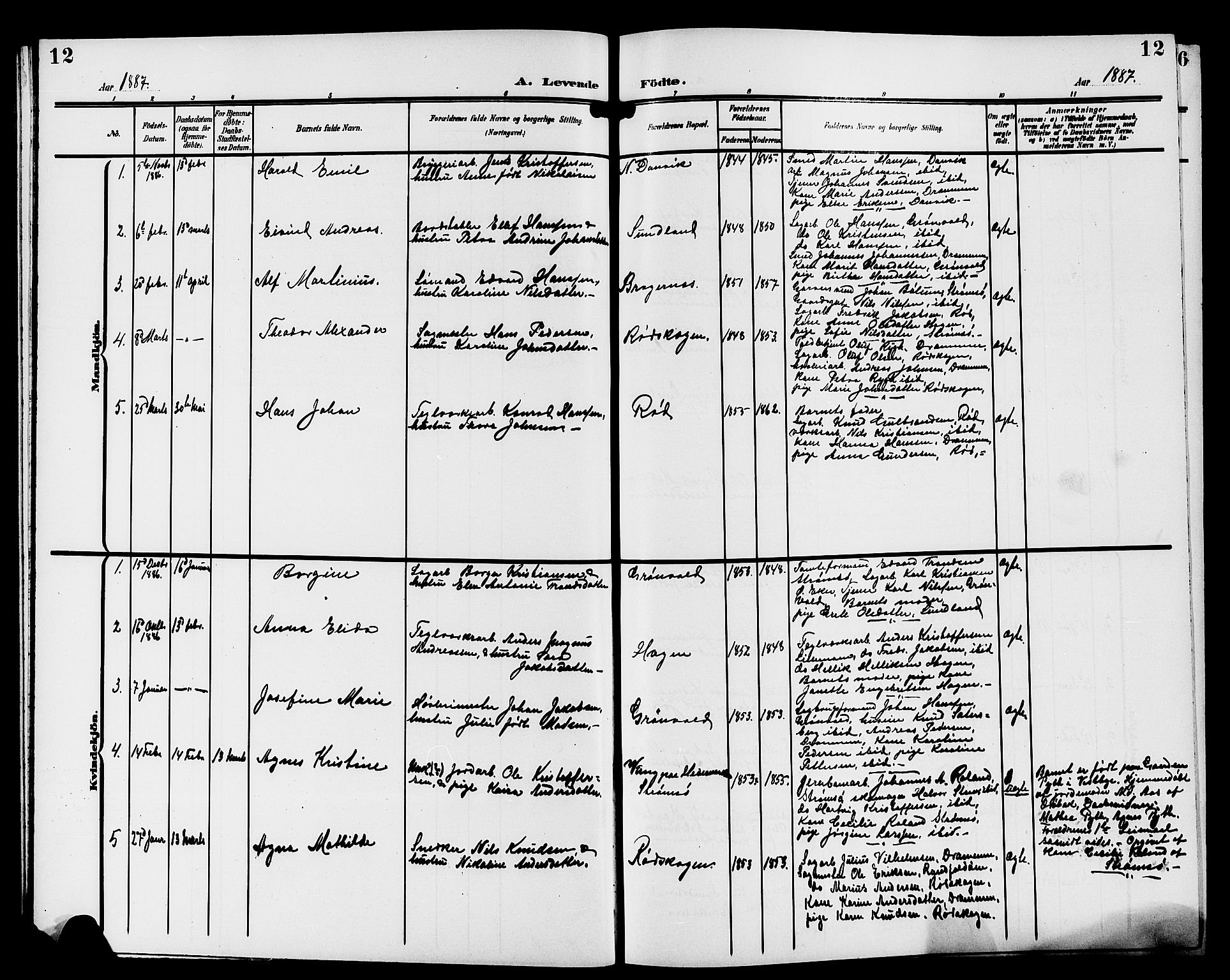 Strømsgodset kirkebøker, AV/SAKO-A-324/G/Ga/L0002: Parish register (copy) no. 2, 1885-1910, p. 12